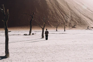 A lone figure walks through a barren desert landscape