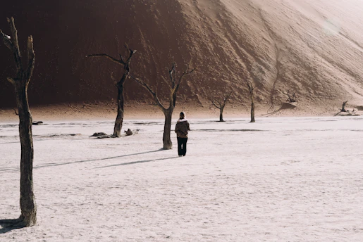 A lone figure walks through a barren desert landscape