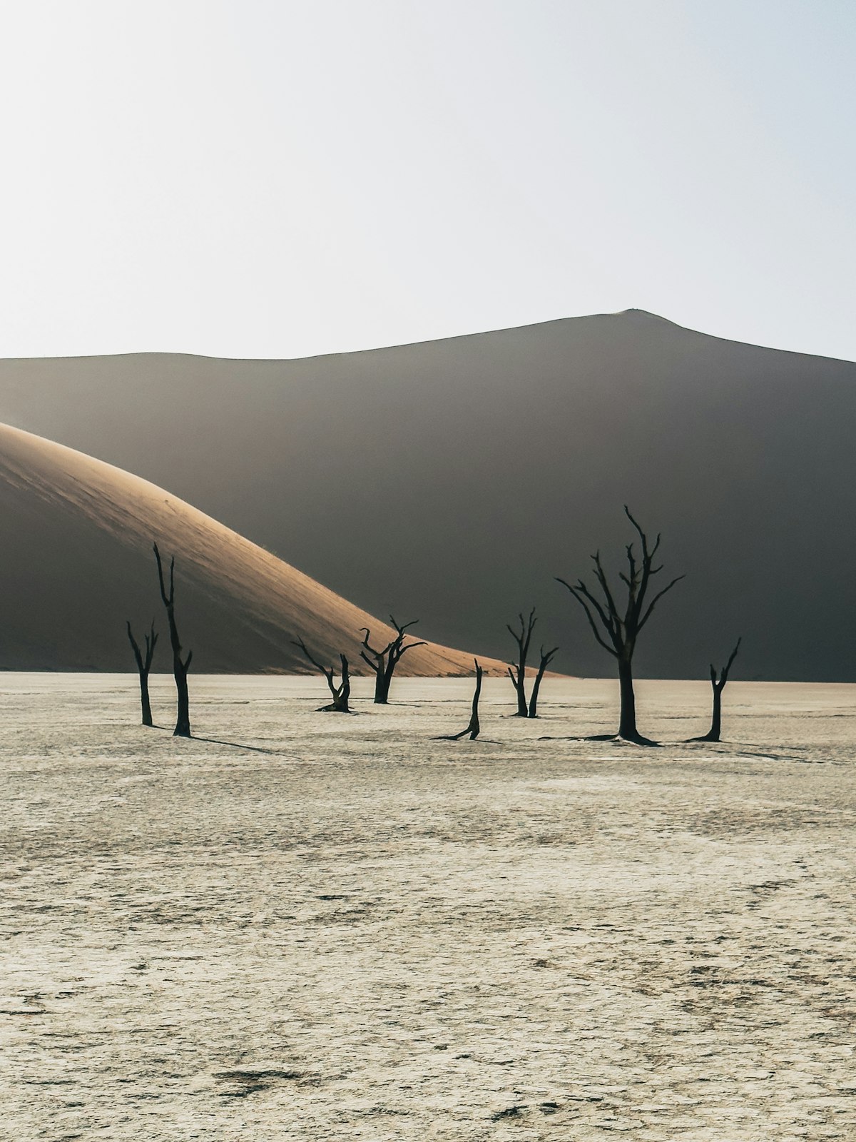 Namibia Adventure: Sossusvlei Dunes and Deadvlei