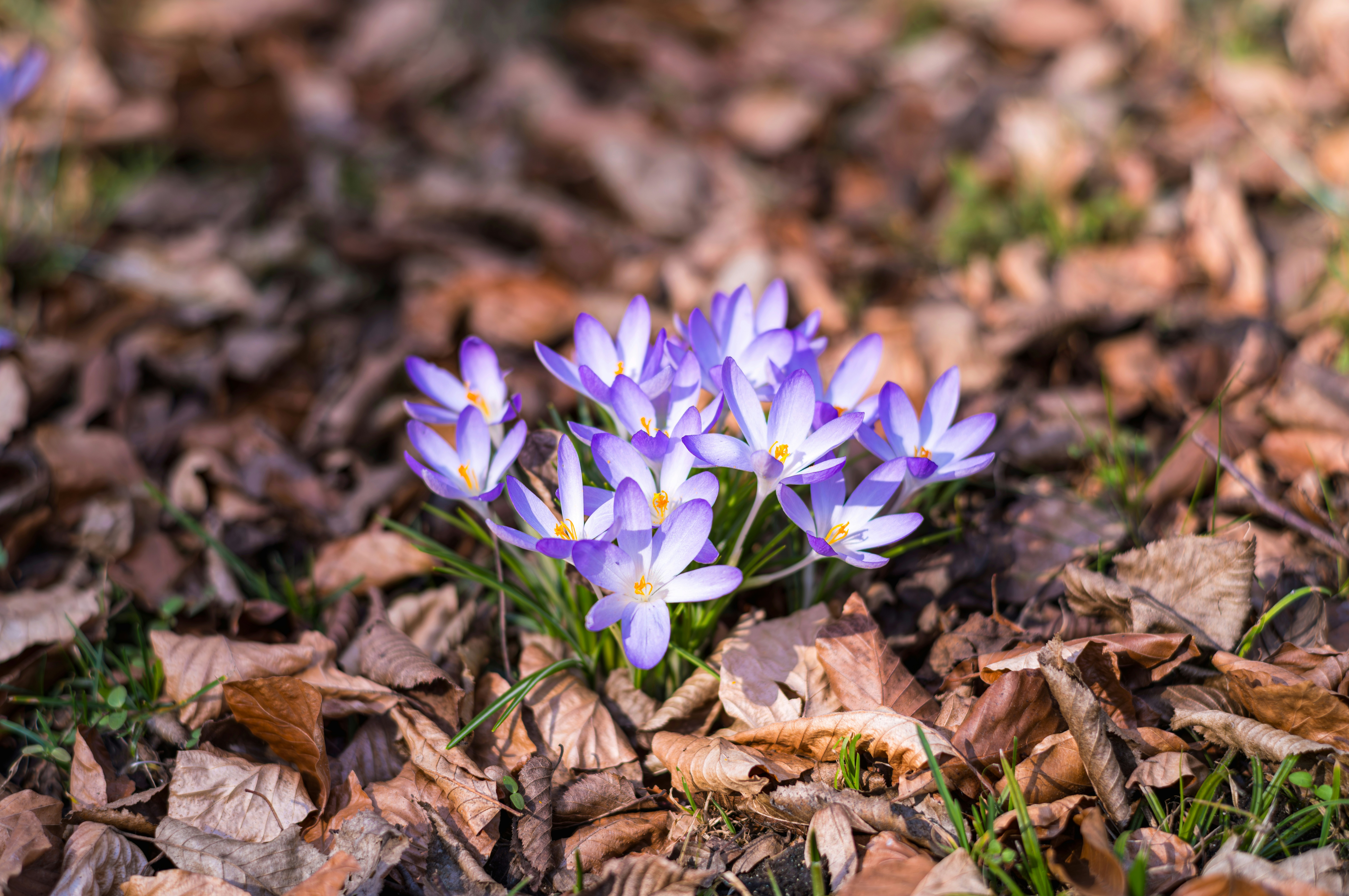 Photo by dieter_muenchen