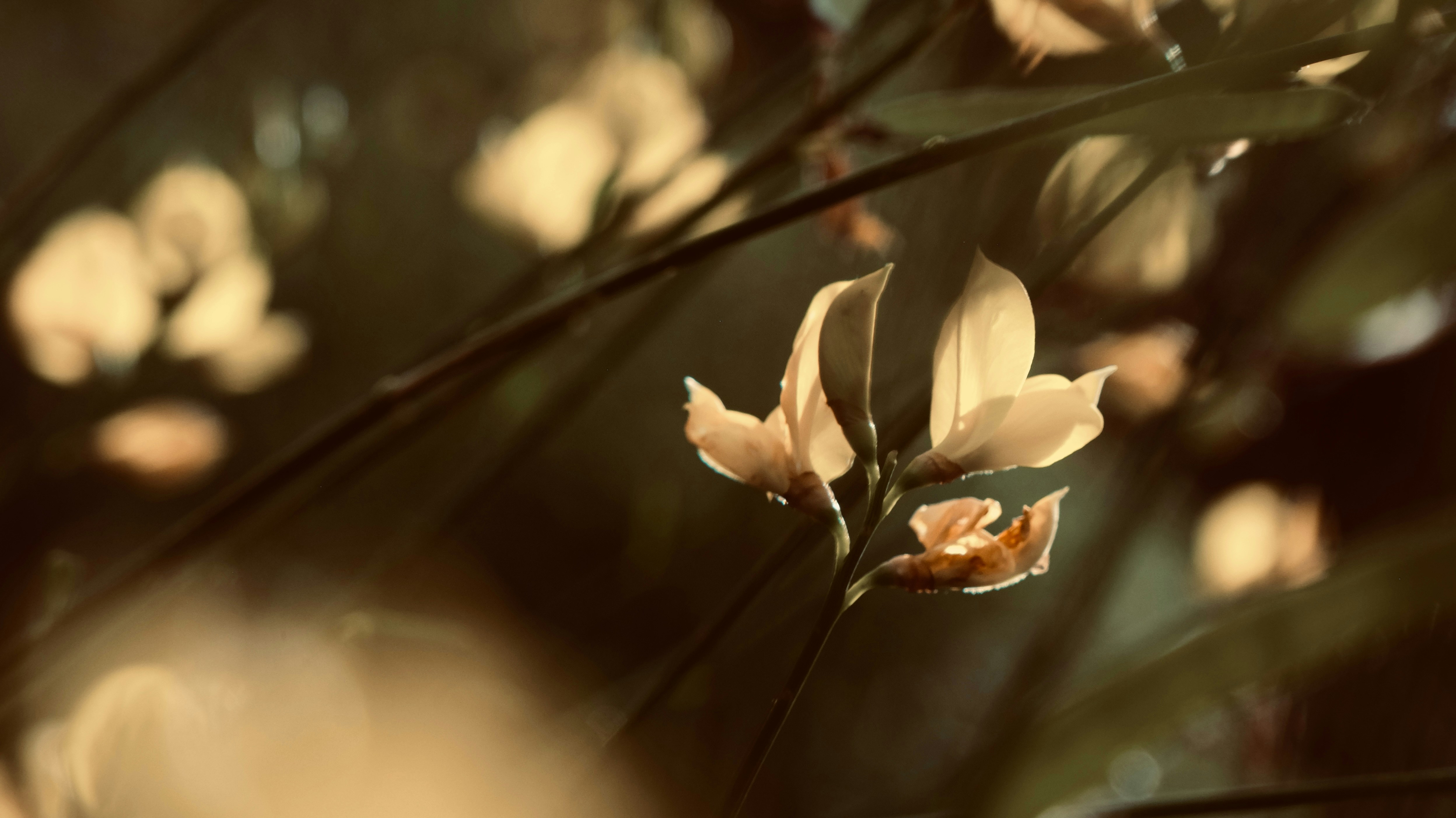 Photo by loubarross888