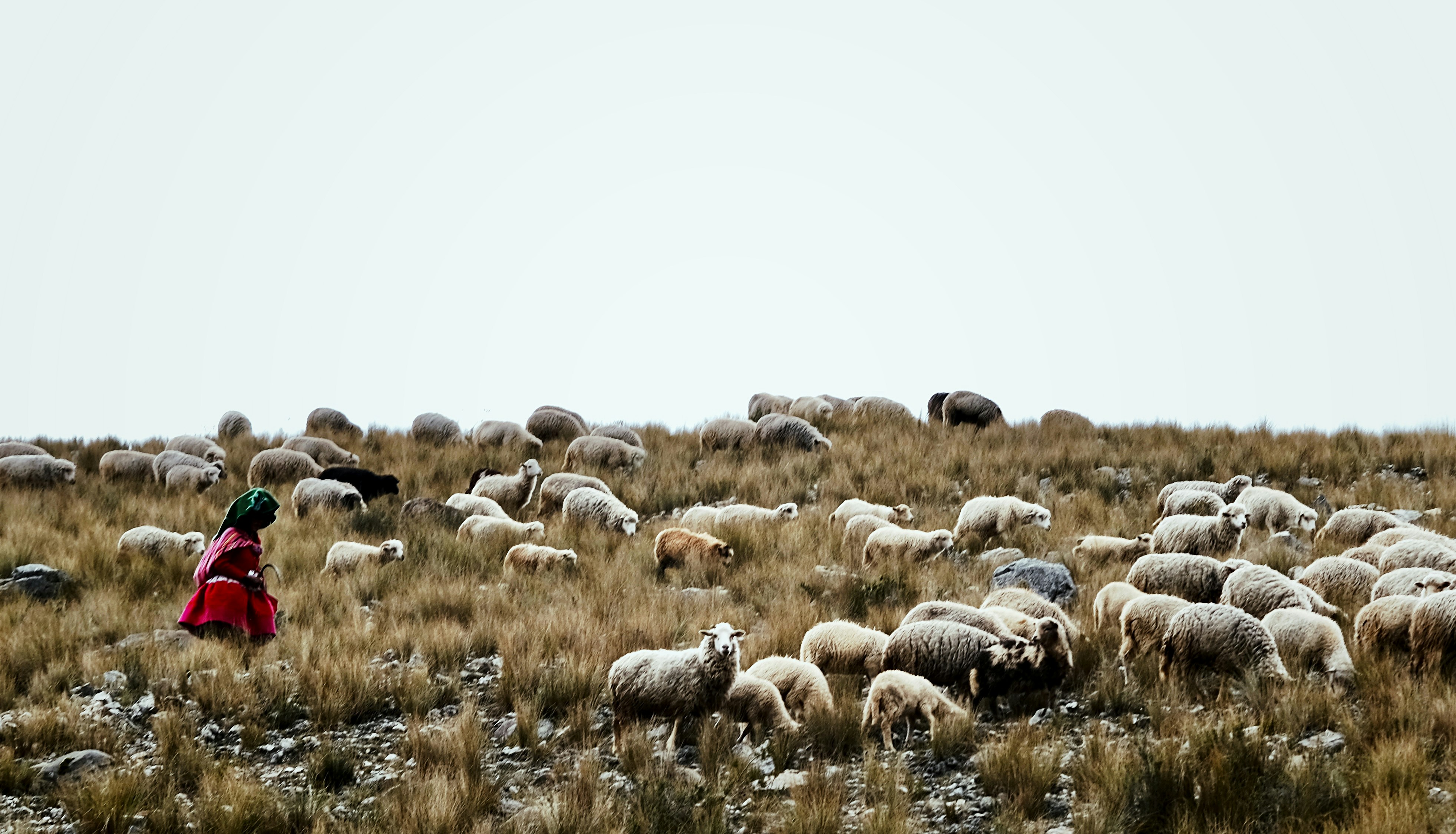 Photo by loubarross888