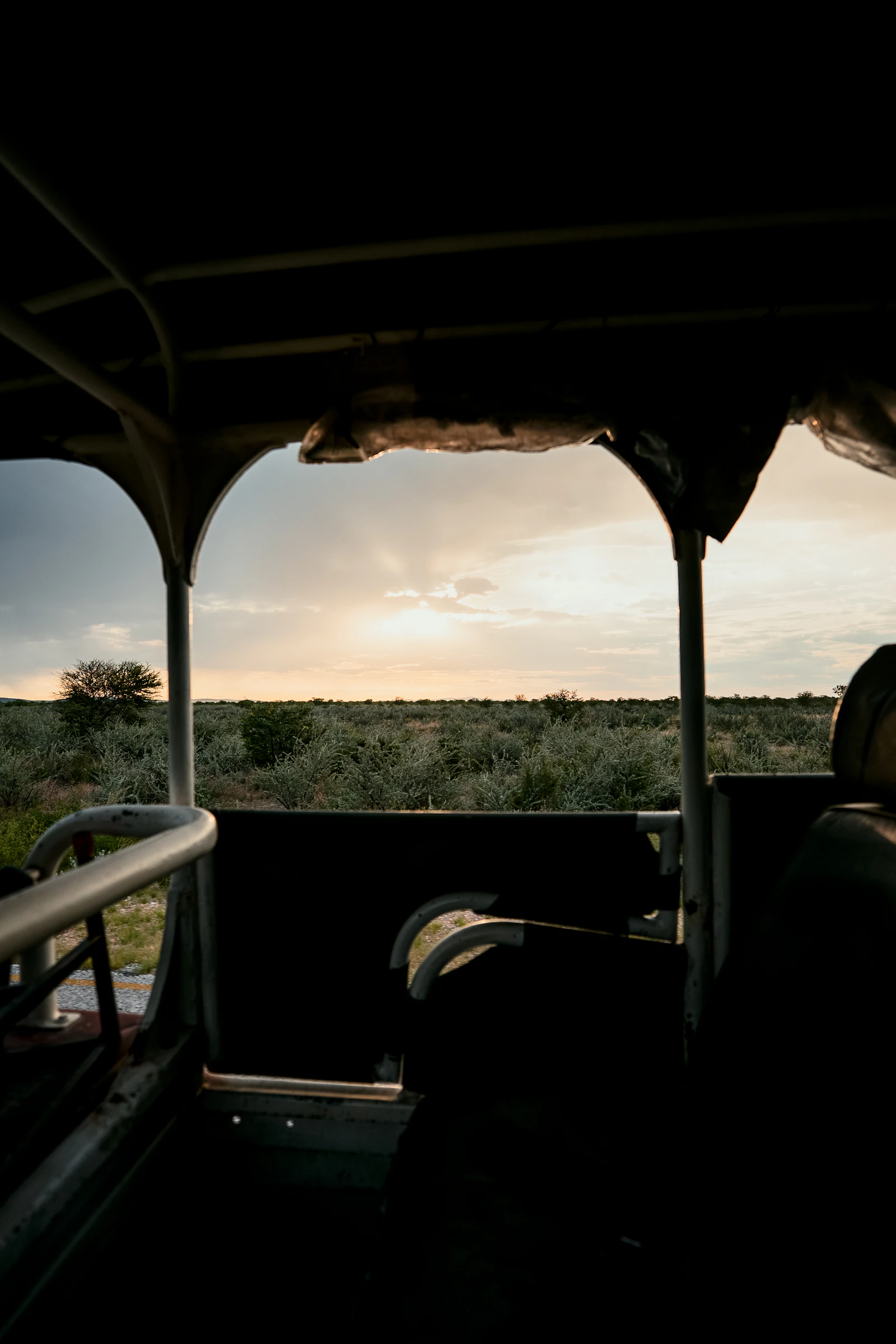 View from a safari vehicle across Etosha National Park