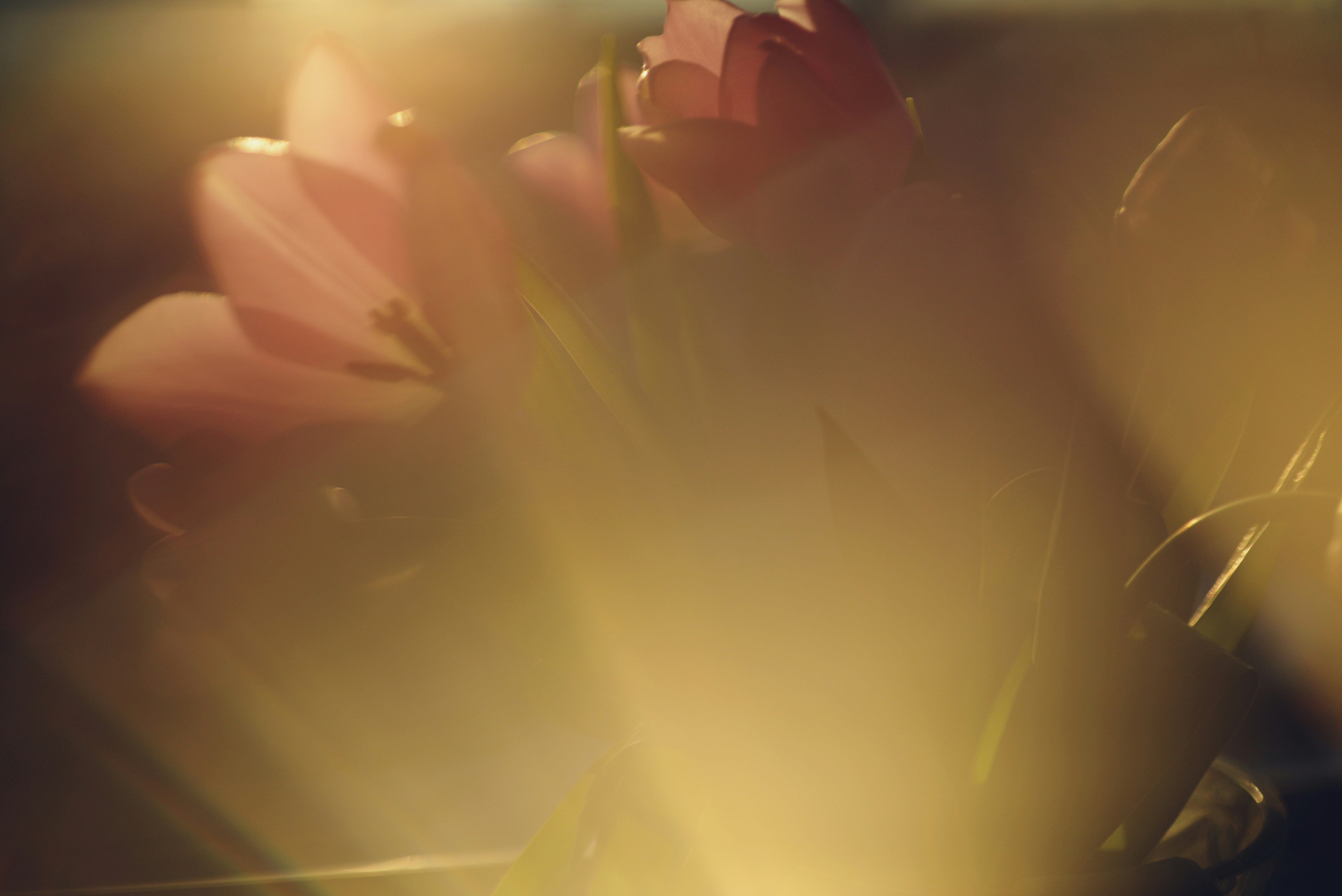 Photo by cherstve_pechivo