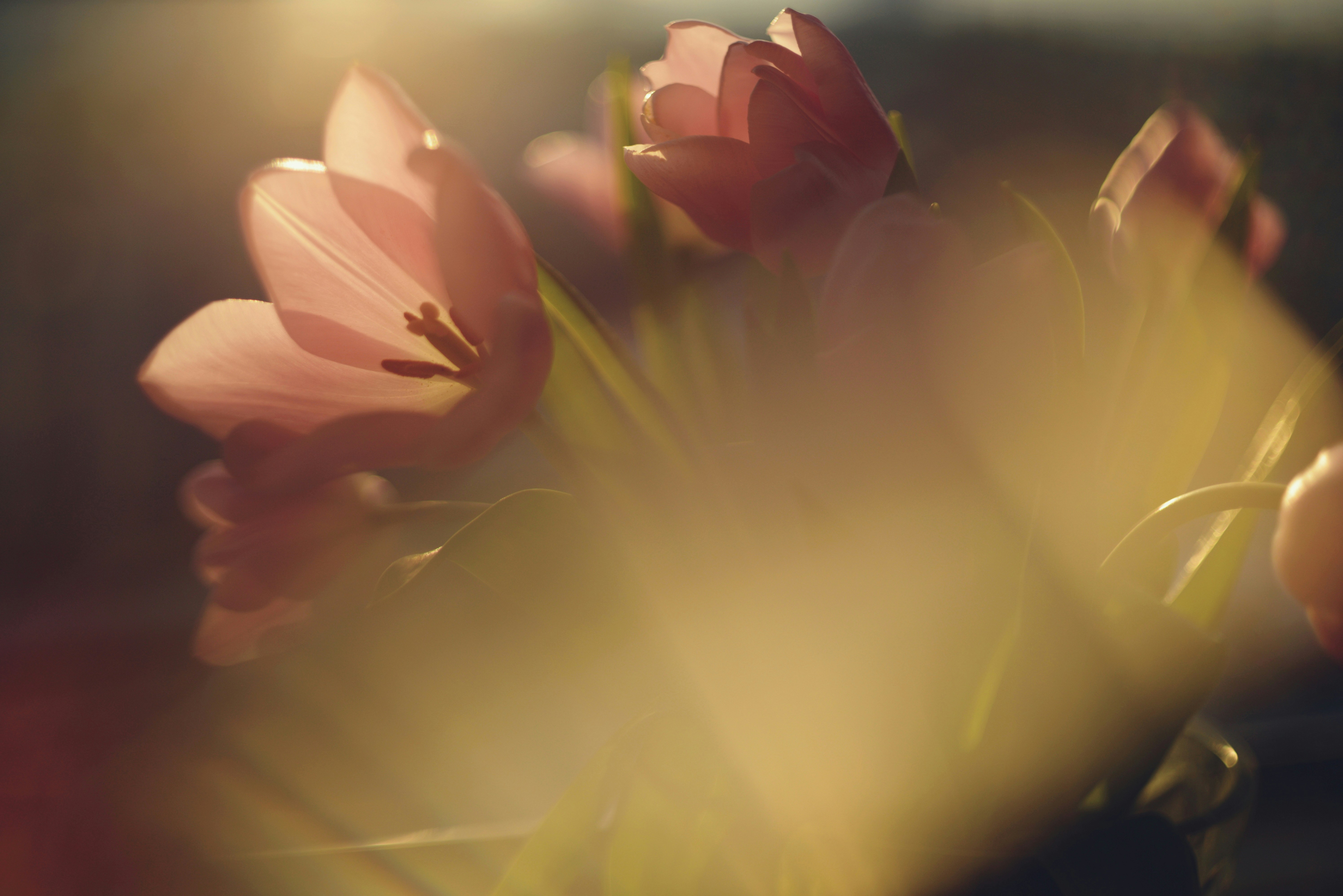 Photo by cherstve_pechivo