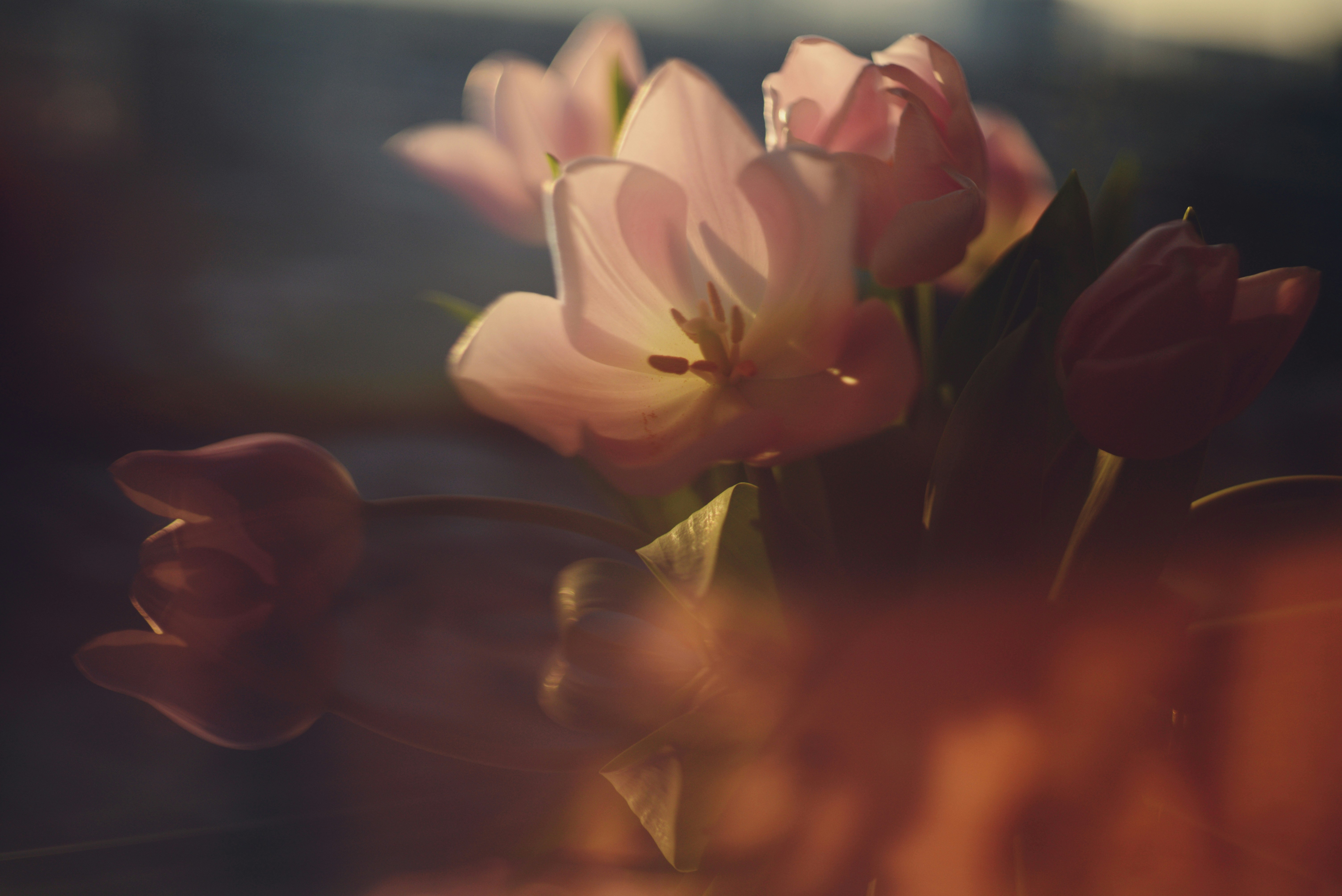 Photo by cherstve_pechivo