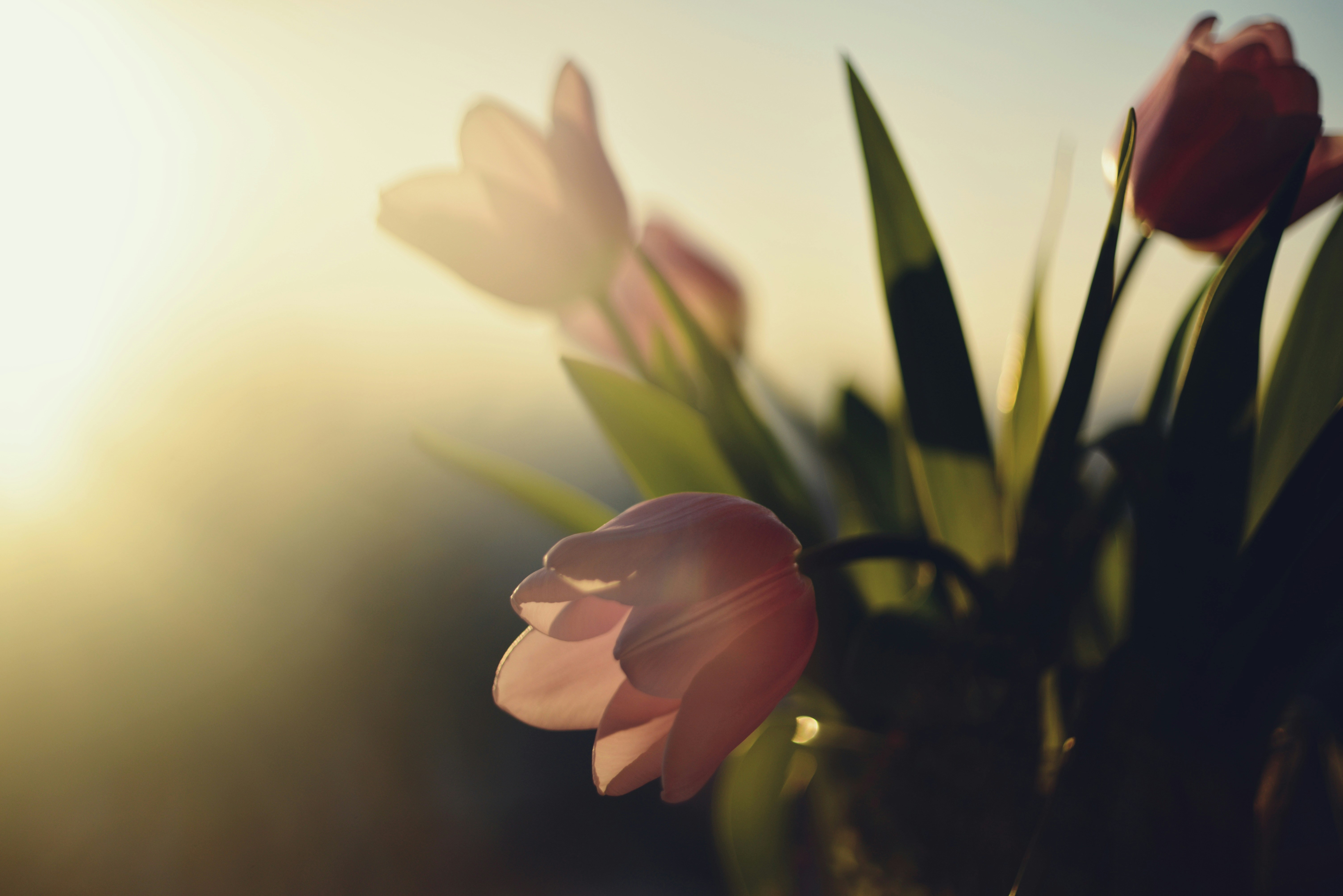 Photo by cherstve_pechivo