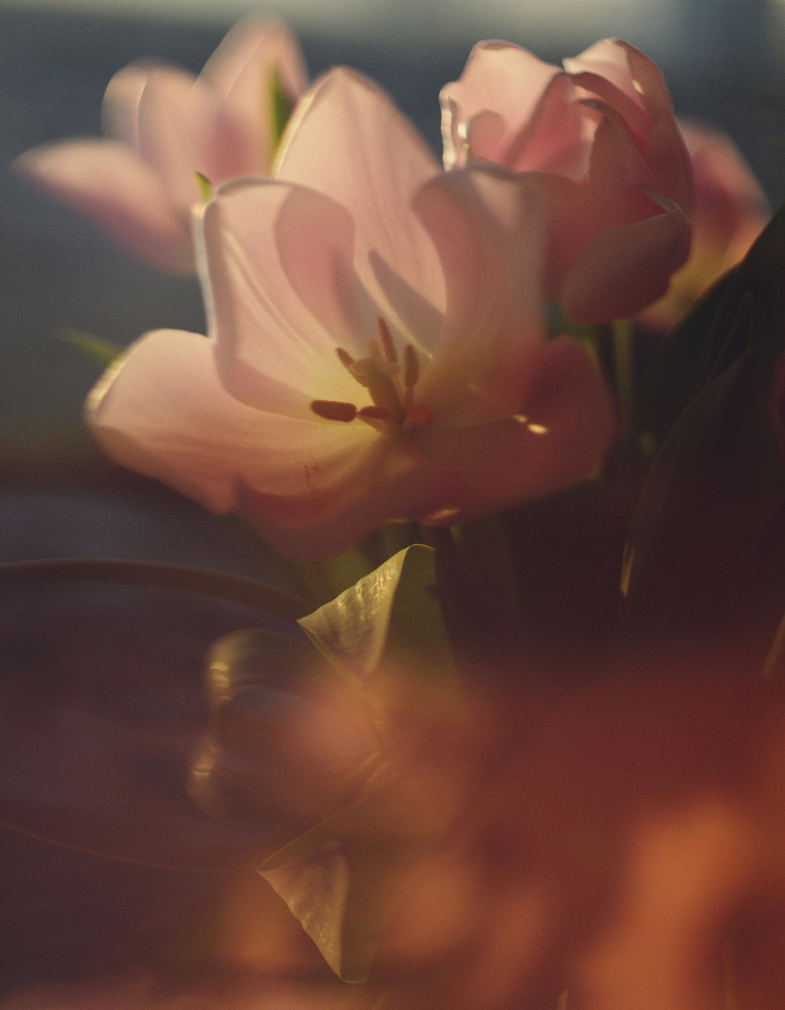 Photo by cherstve_pechivo