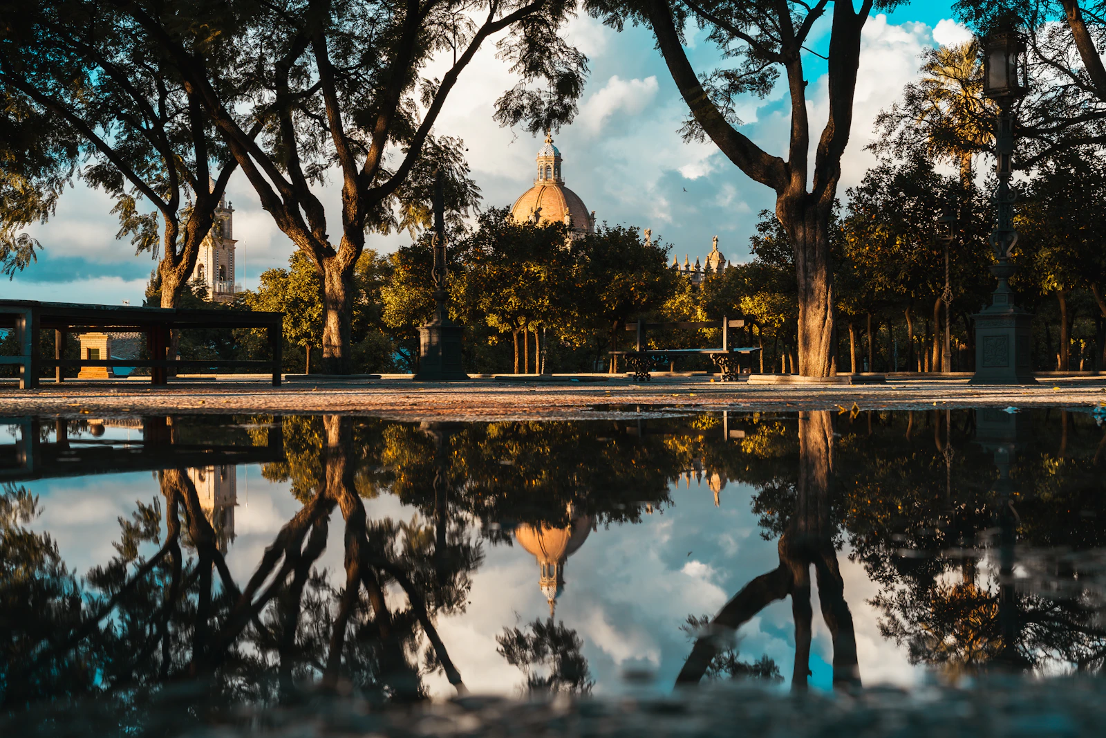 The cathedral reflected in a pool among the trees — Jerez de la Frontera, Spain