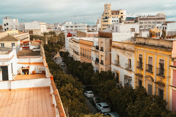 Rooftops and an avenue lined with orange trees — Jerez, Spain