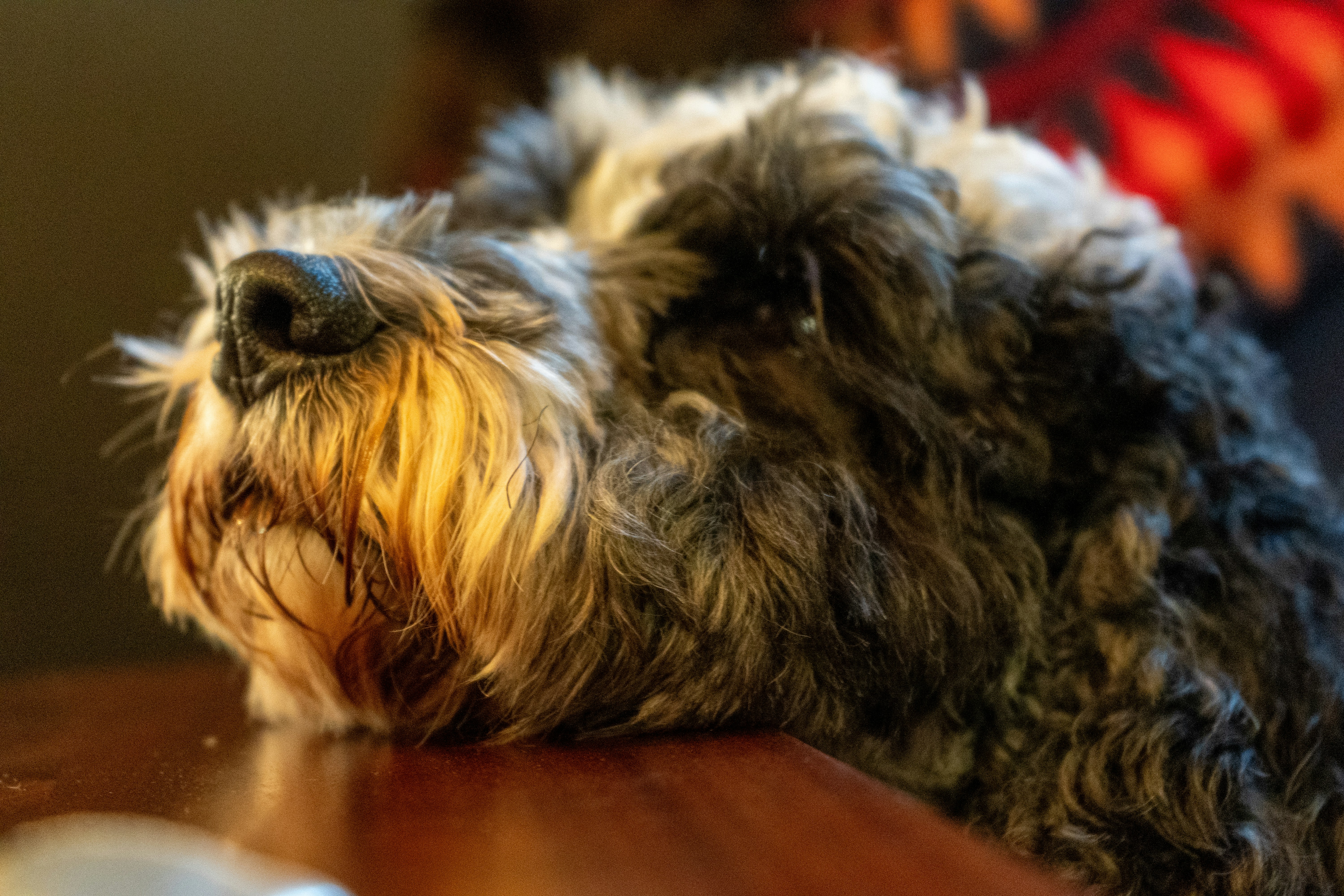 Photo by niall_smith