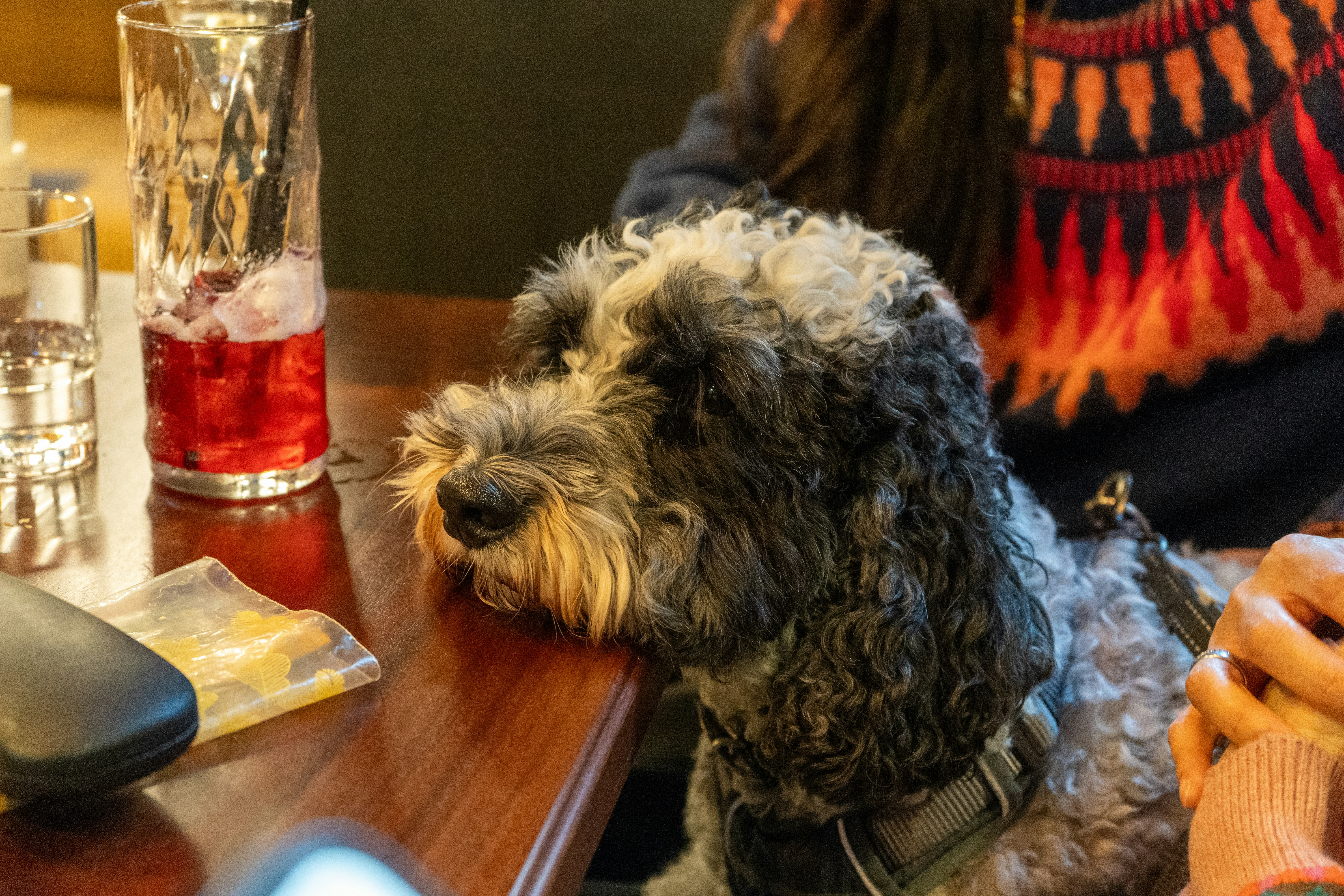 A shaggy dog rests its head on a wooden table.