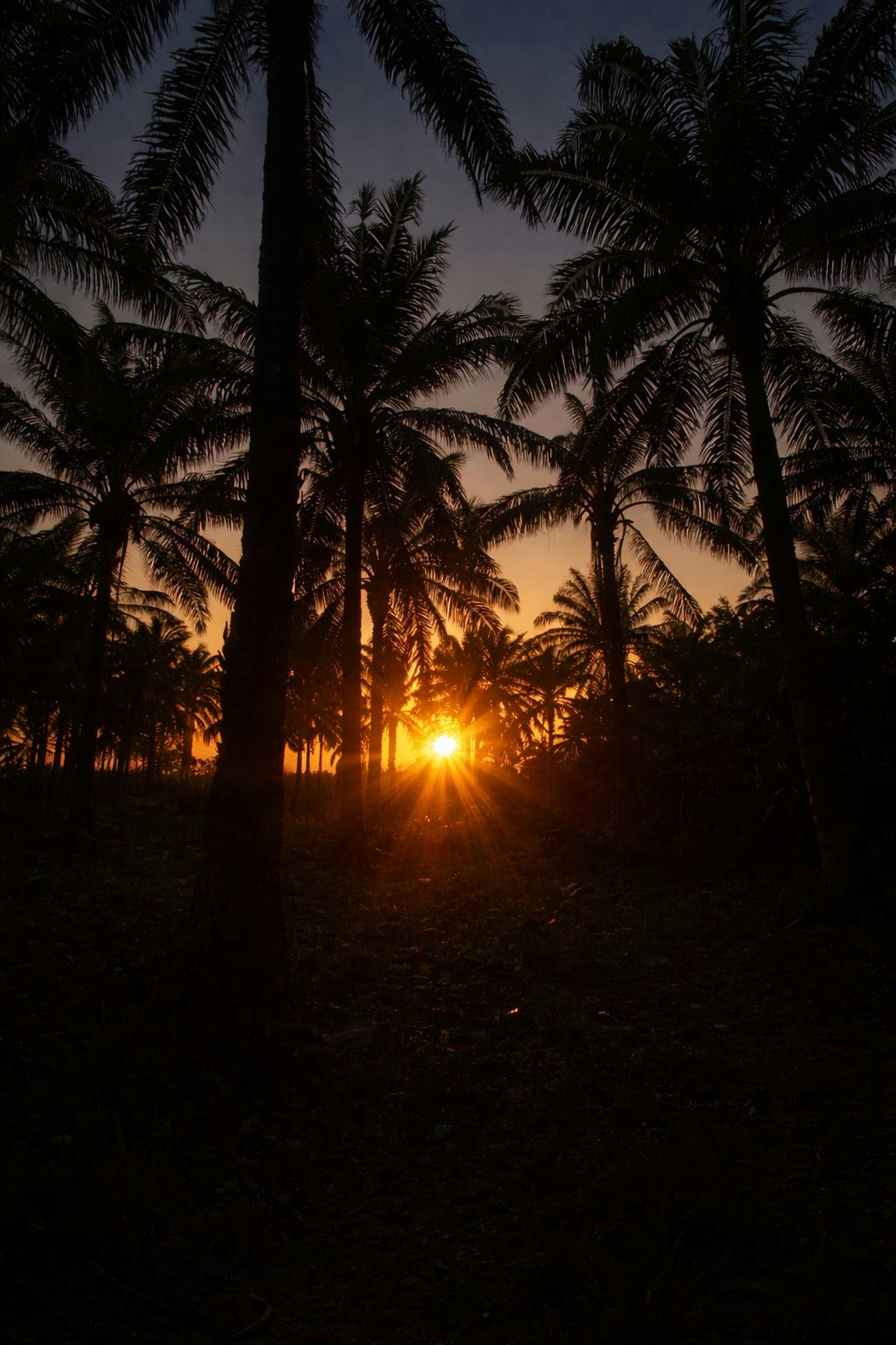 Photo by sanjana_2505