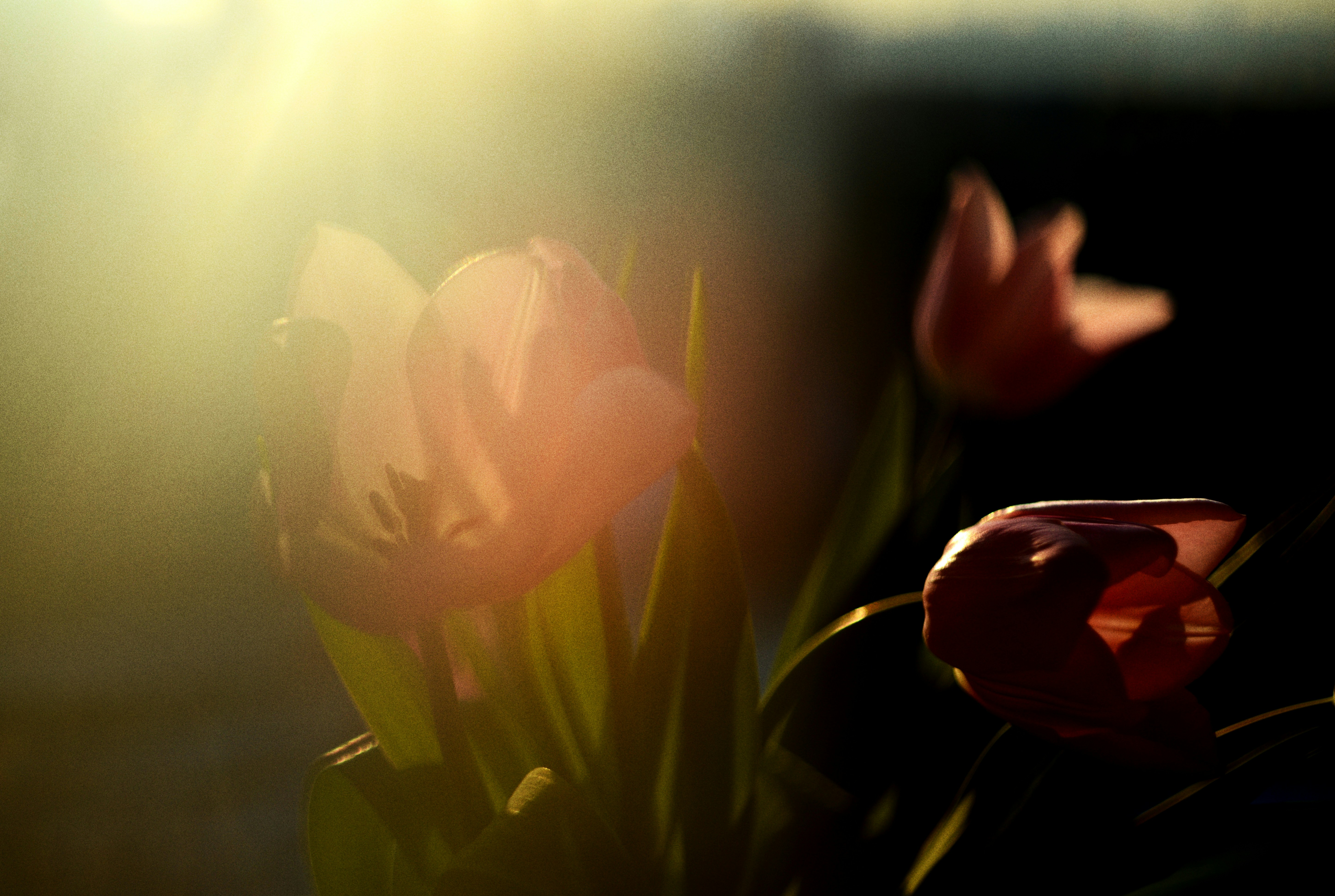 Photo by cherstve_pechivo