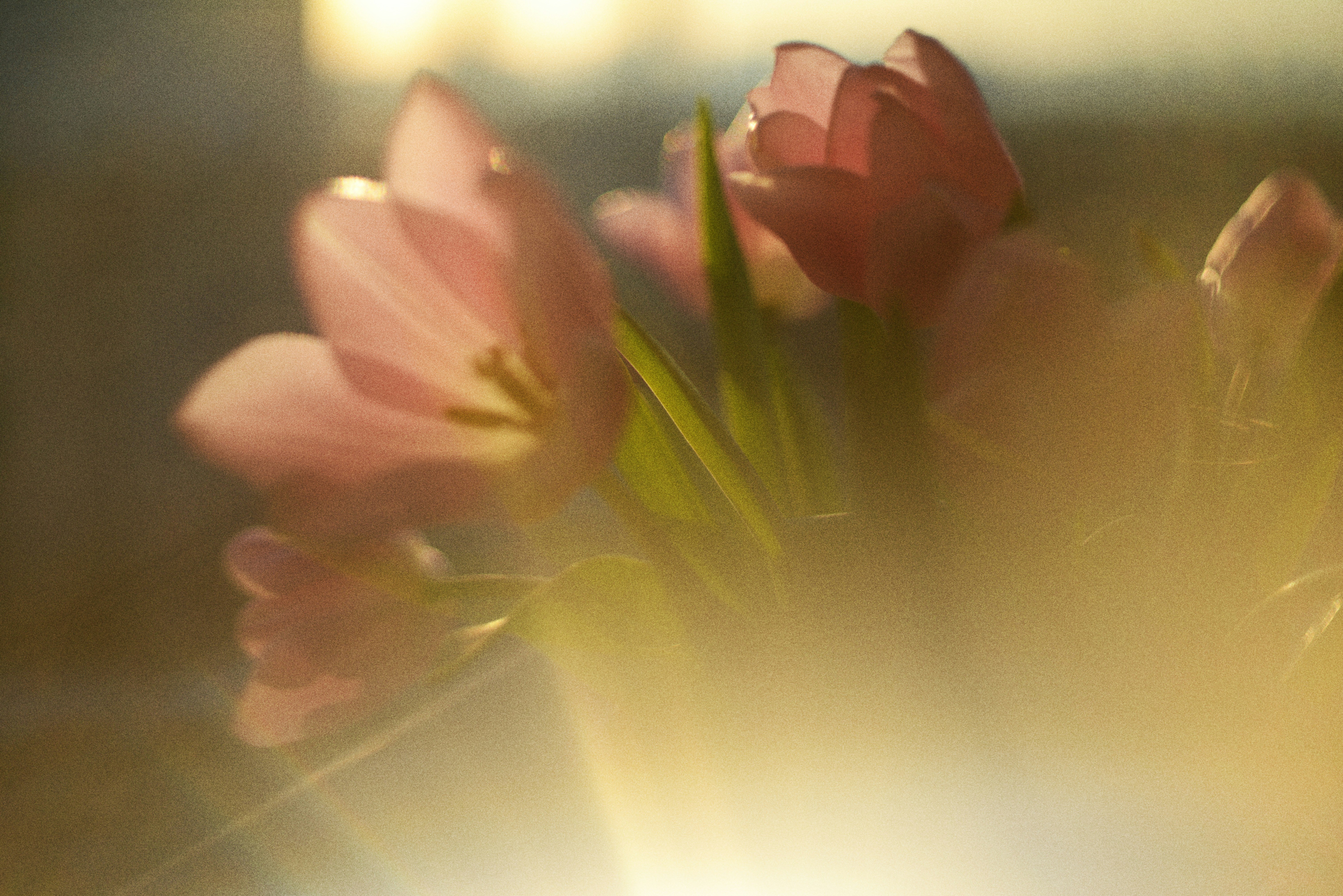 Photo by cherstve_pechivo