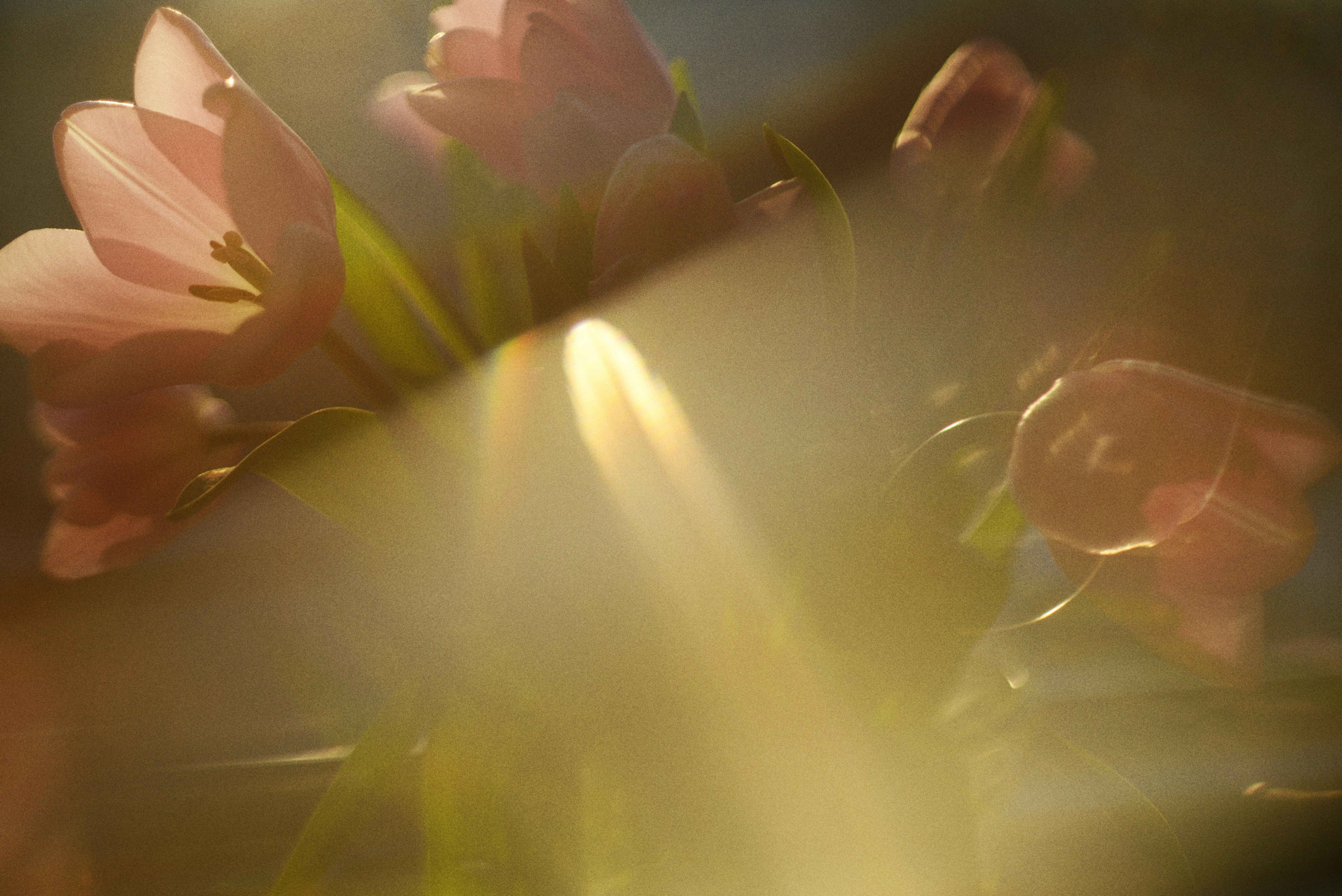 Photo by cherstve_pechivo