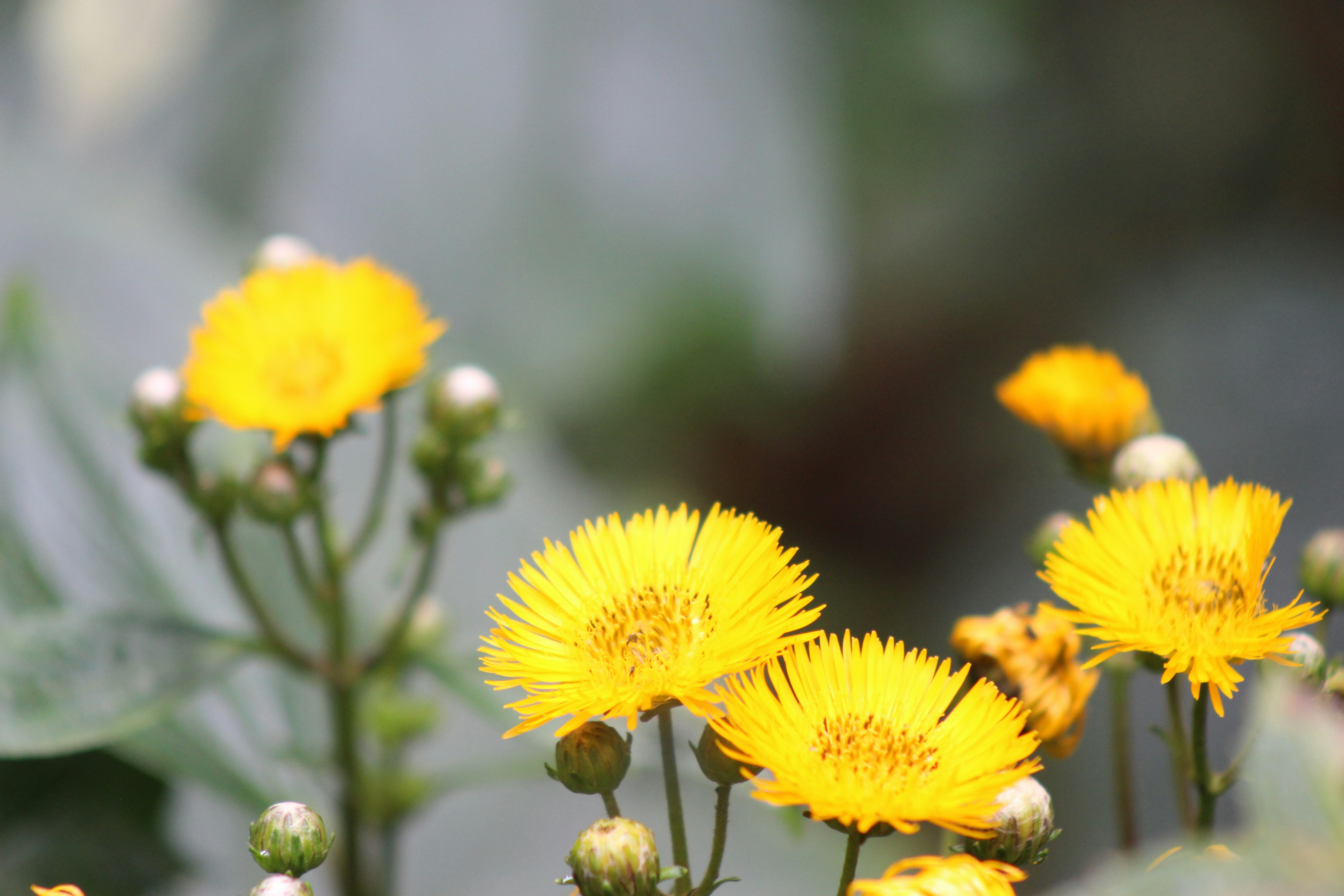 Photo by huellasfilms