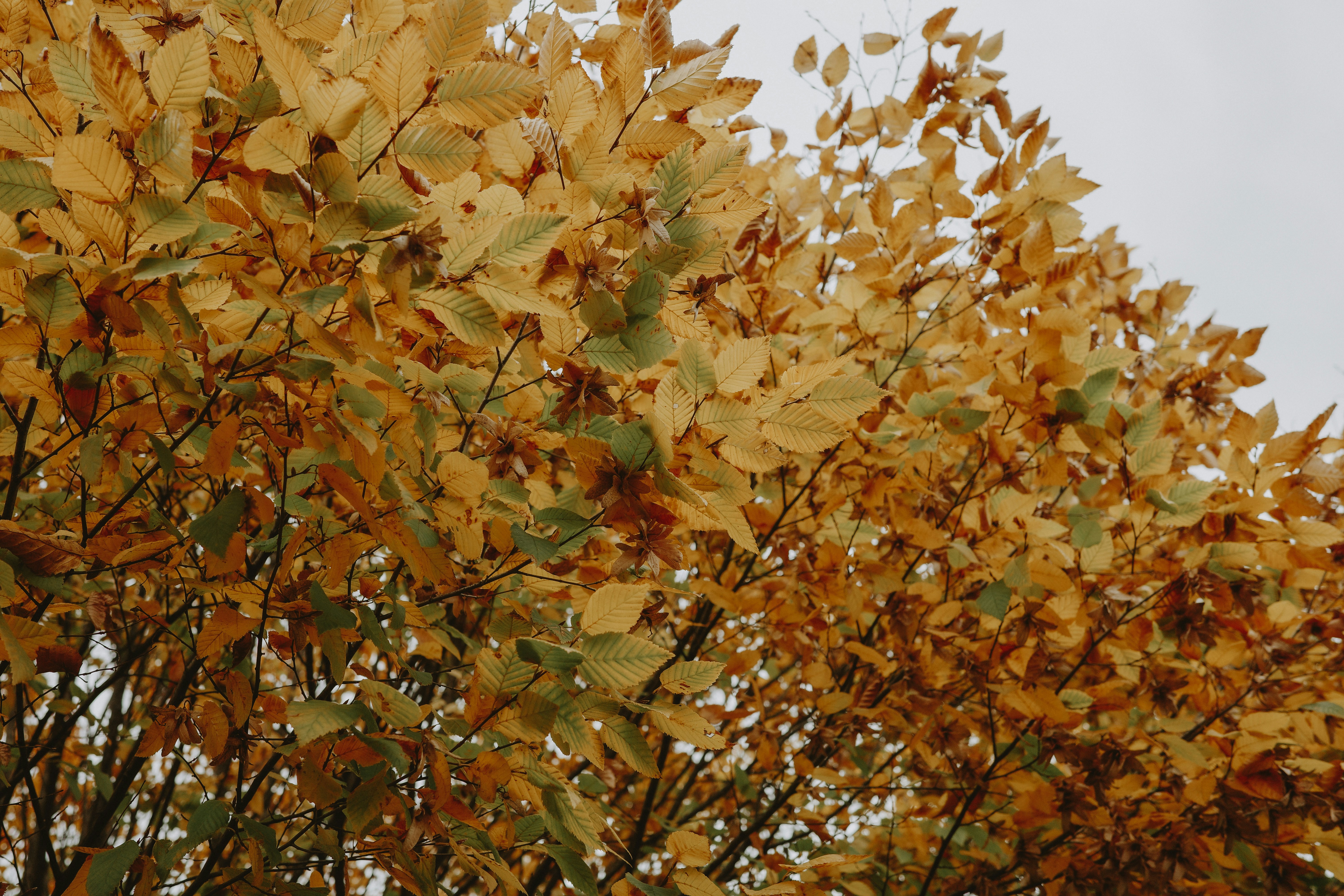 Photo by virginiaphotostories