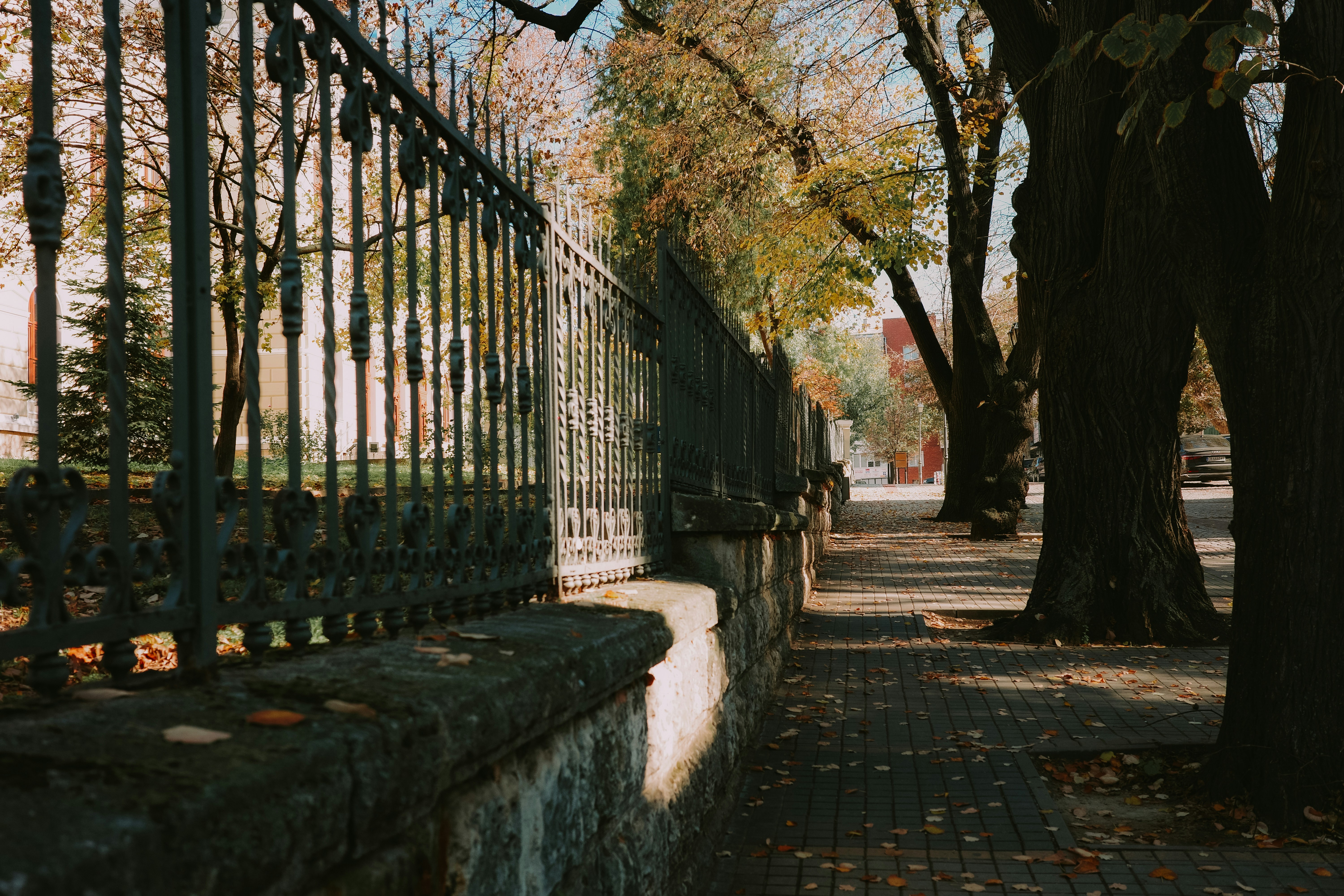 Photo by virginiaphotostories