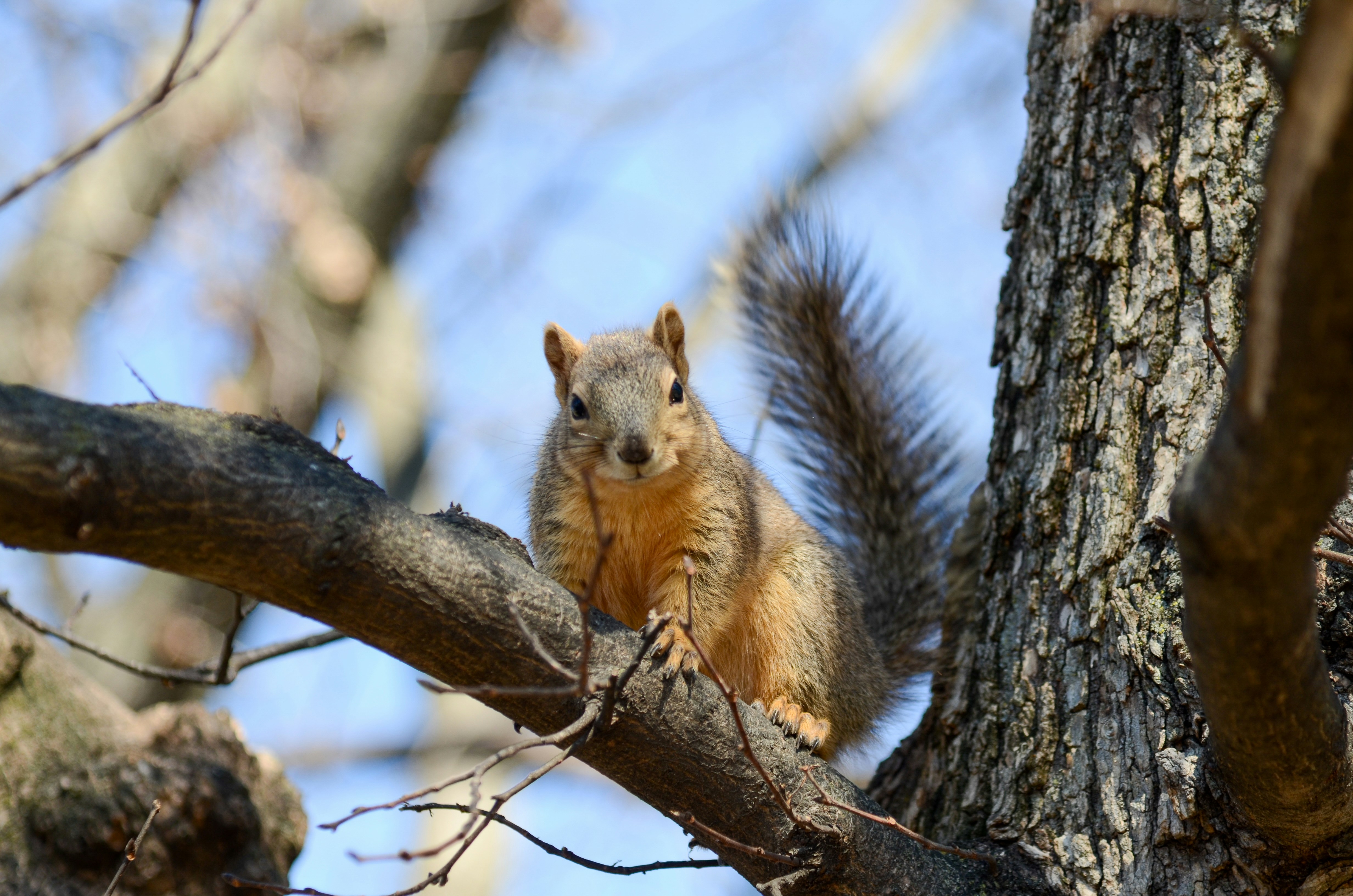 Photo by akshay_madivanan