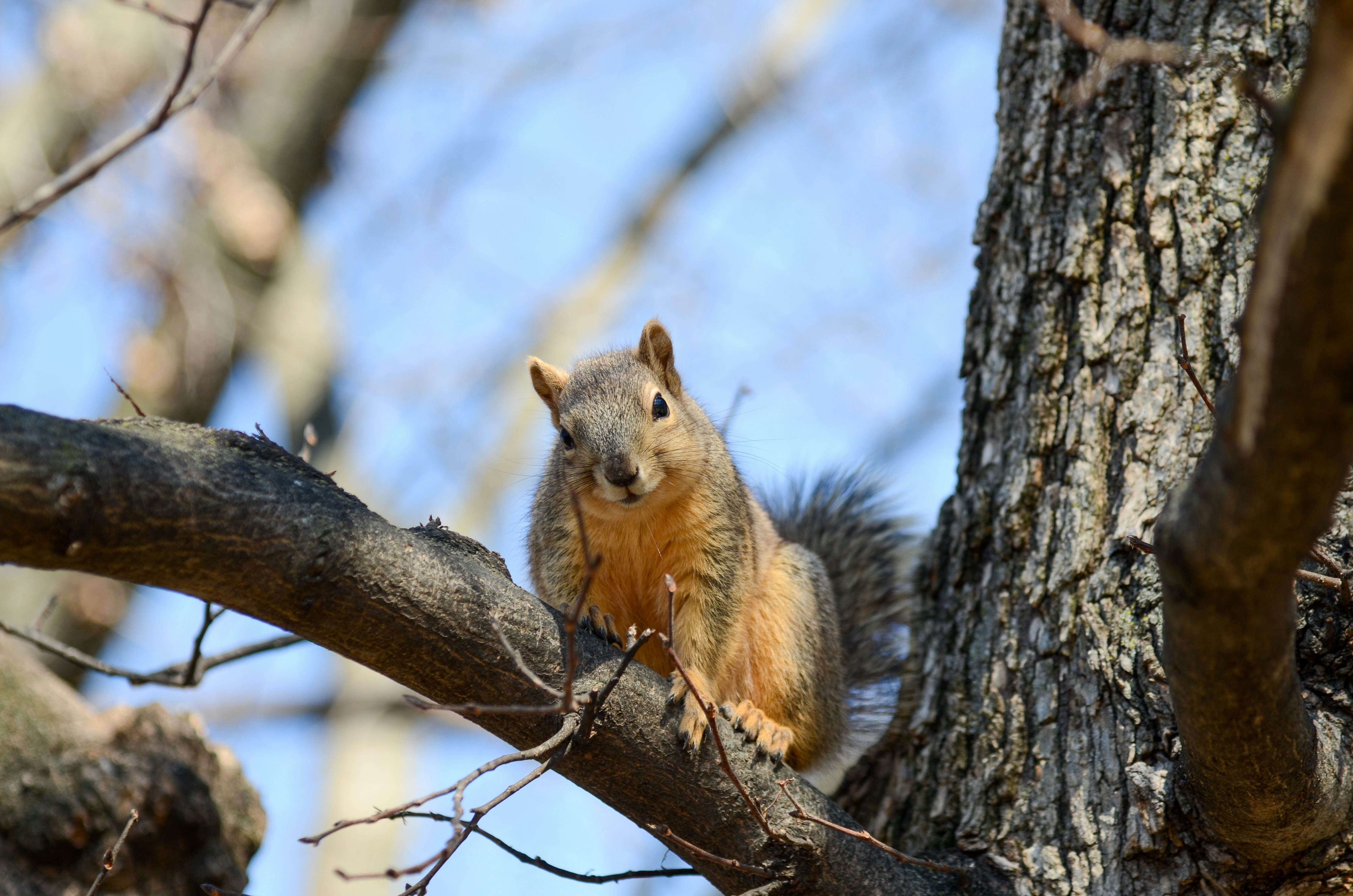 Photo by akshay_madivanan