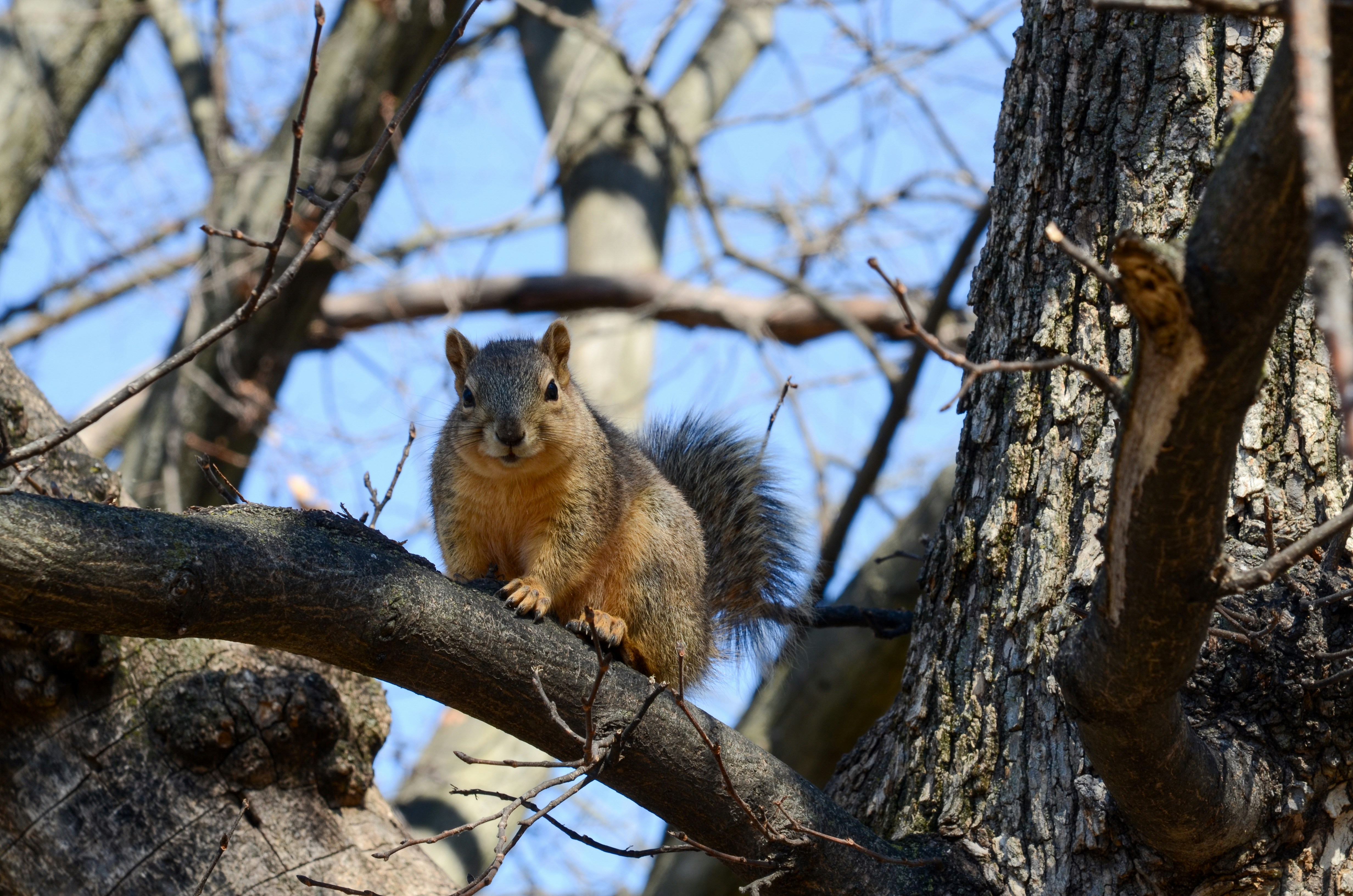 Photo by akshay_madivanan