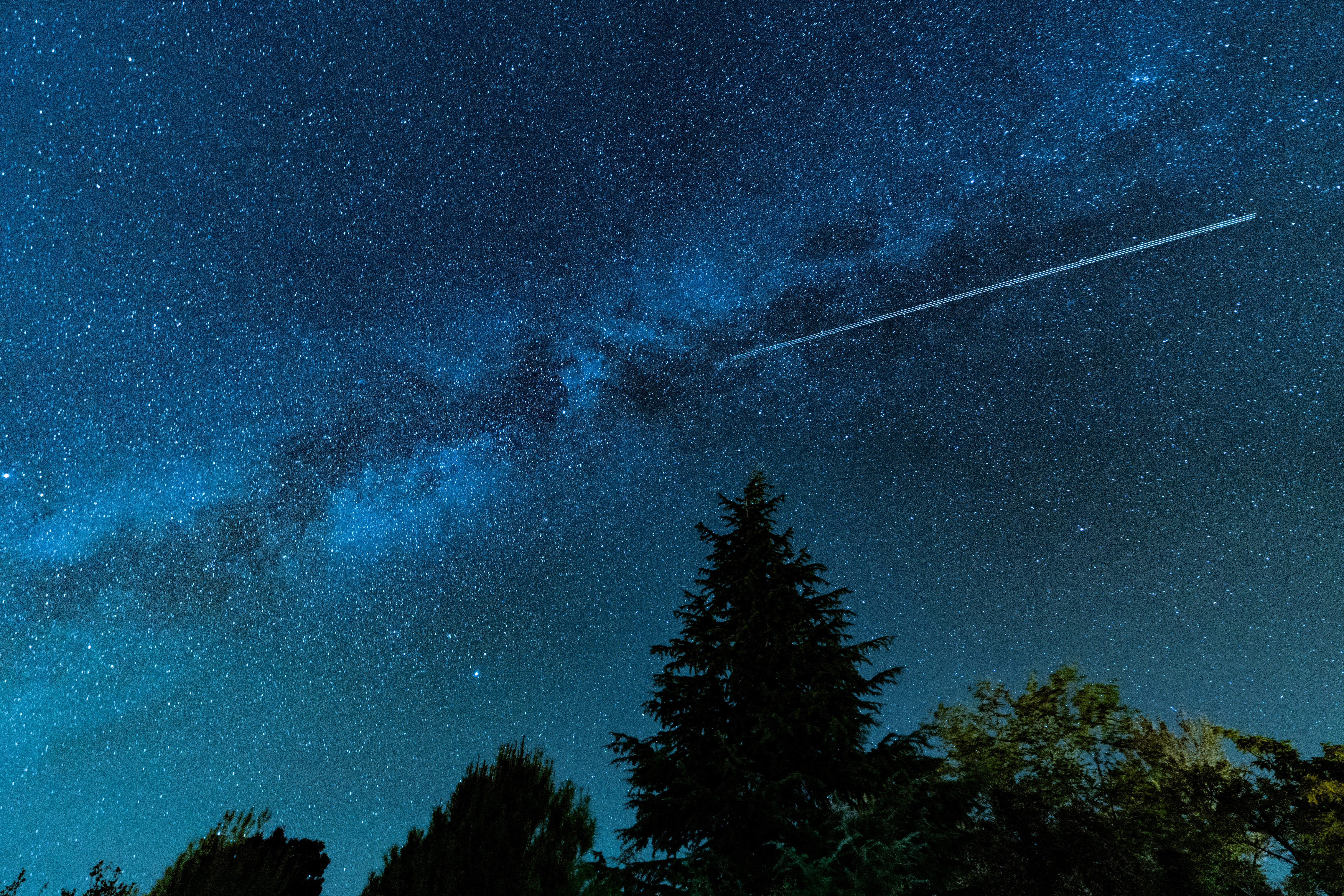 Photo by sizzle_king