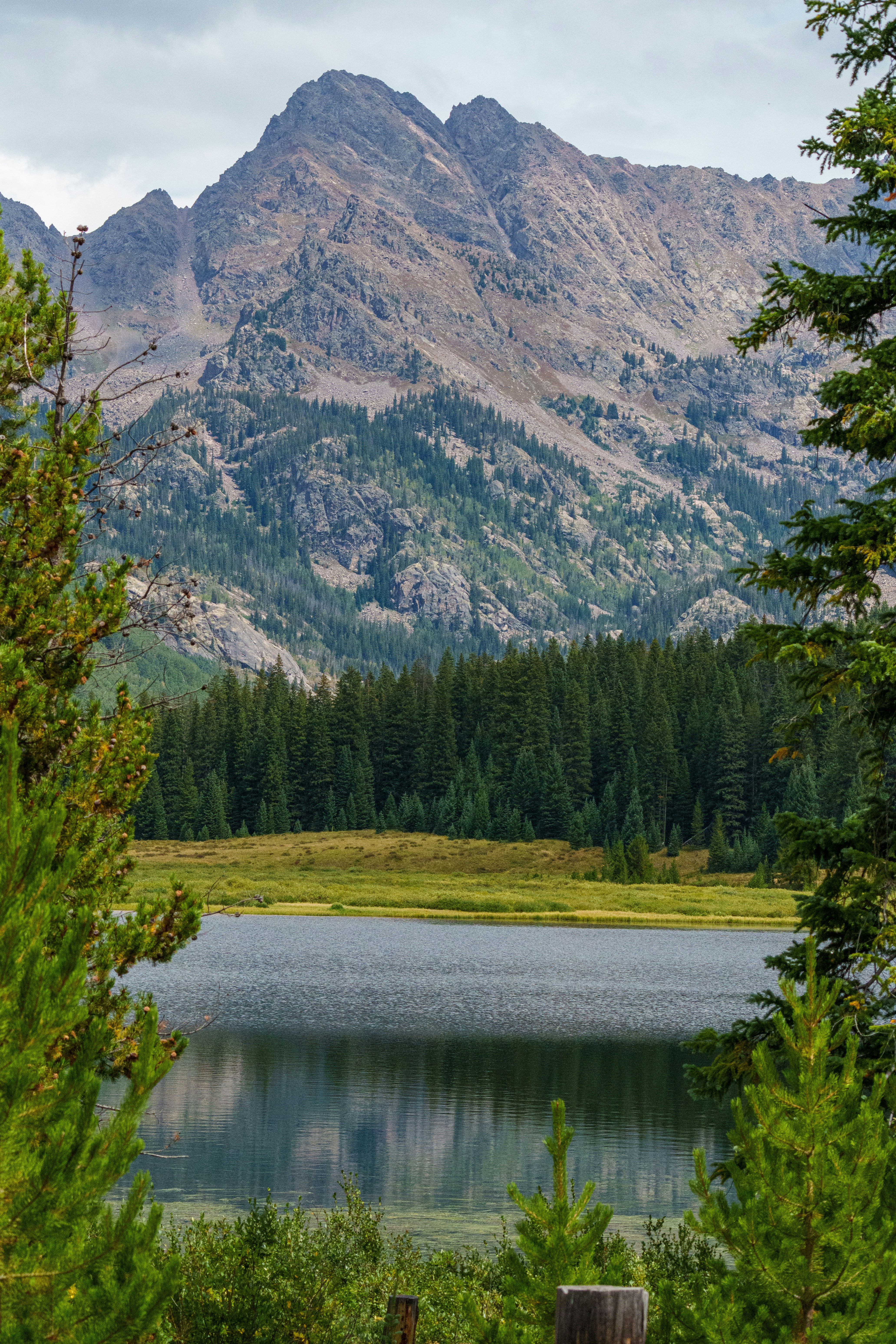 Photo by sizzle_king