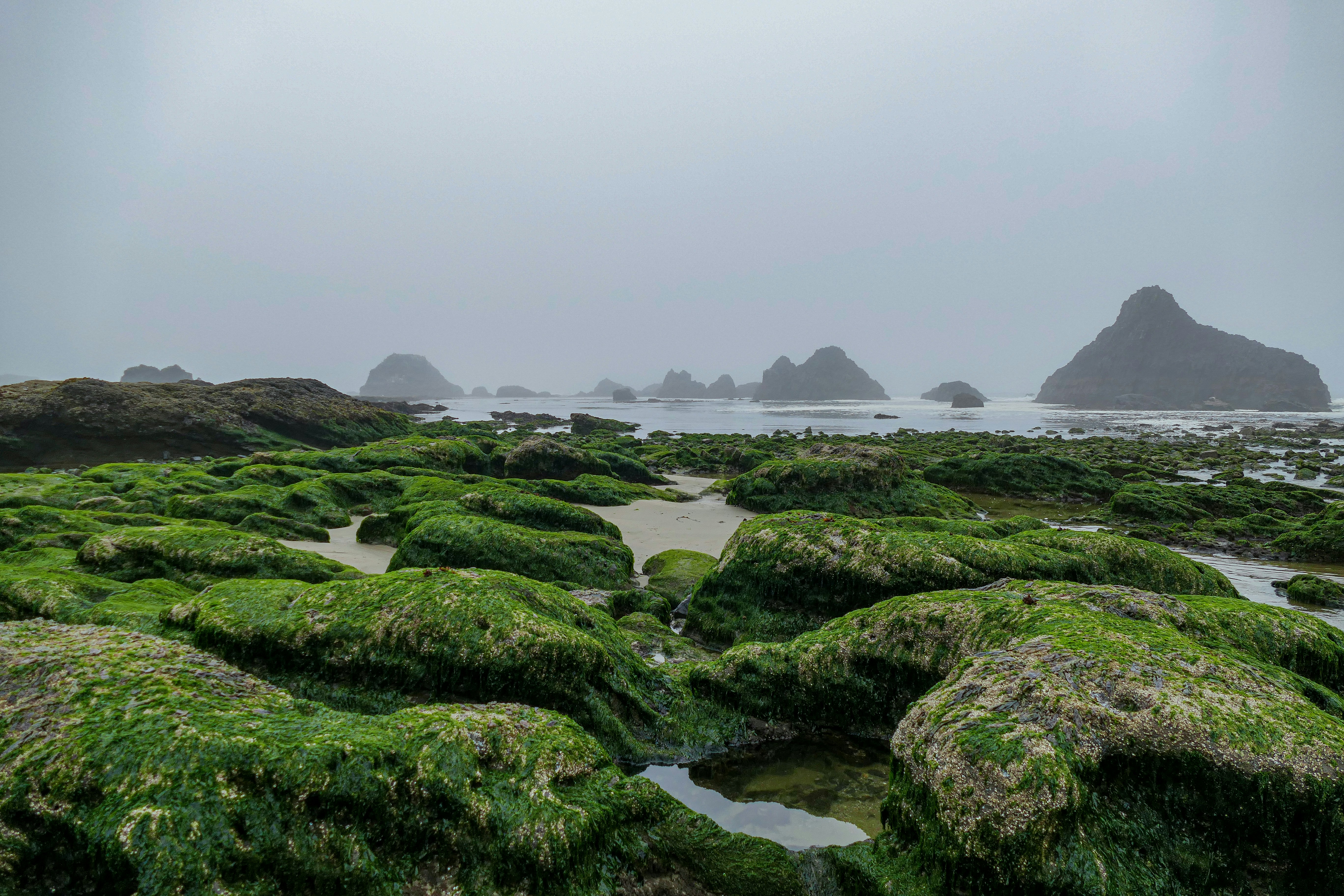 Photo by sizzle_king