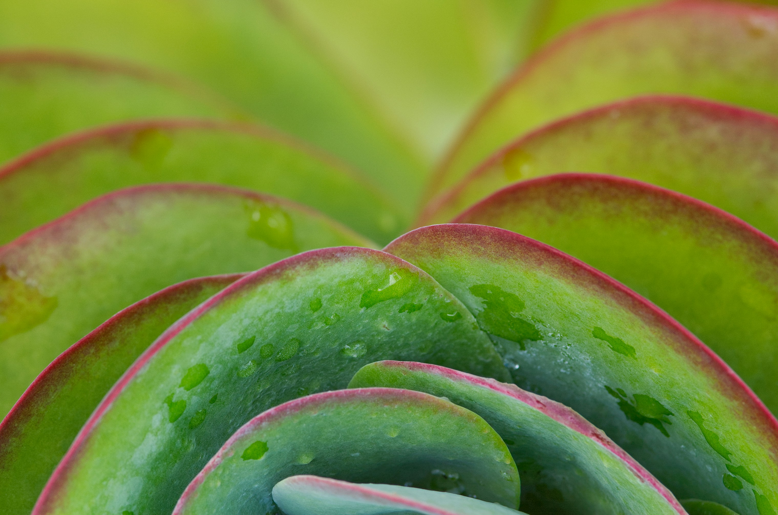 Photo by matt_bowlby