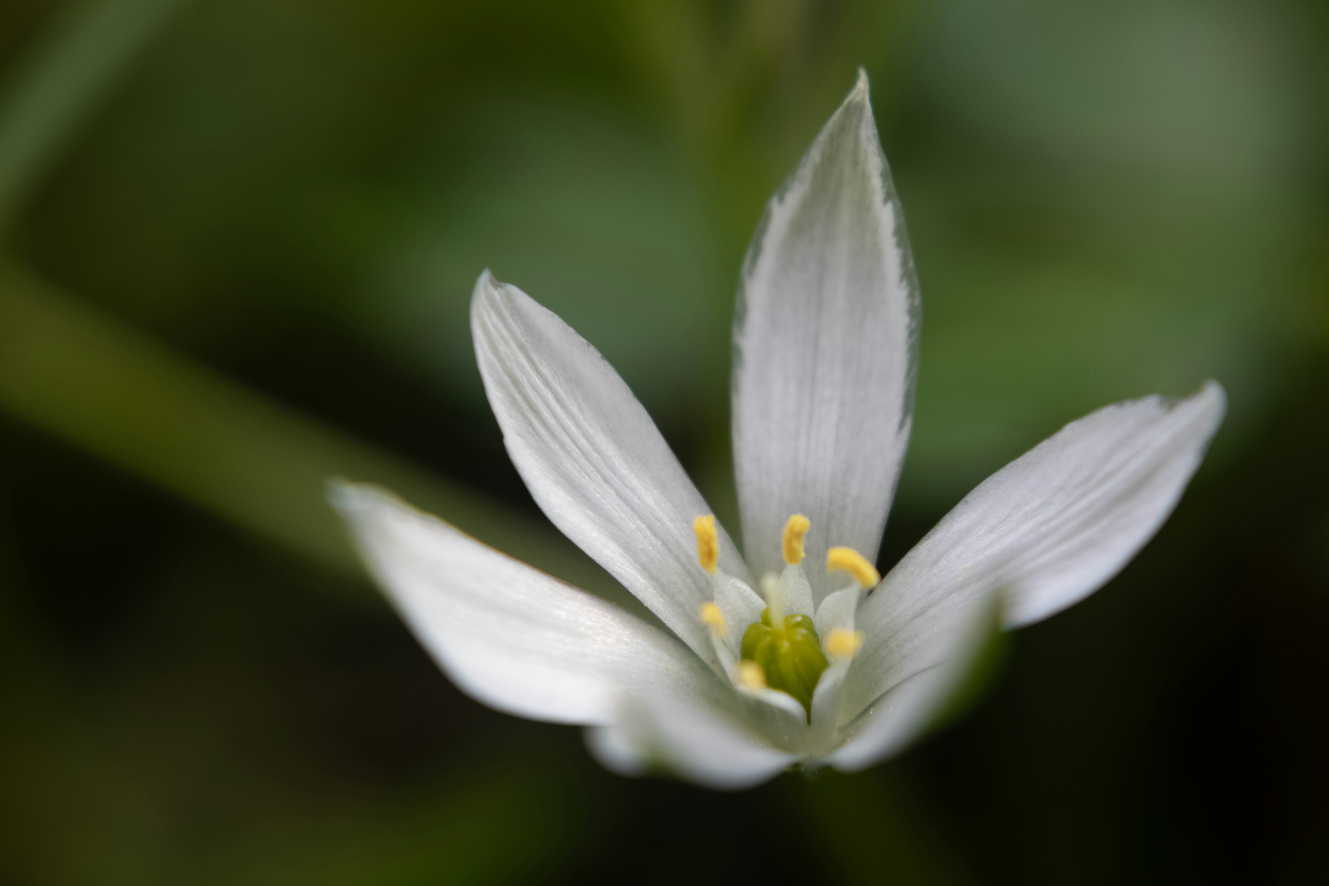 Photo by filipenobre