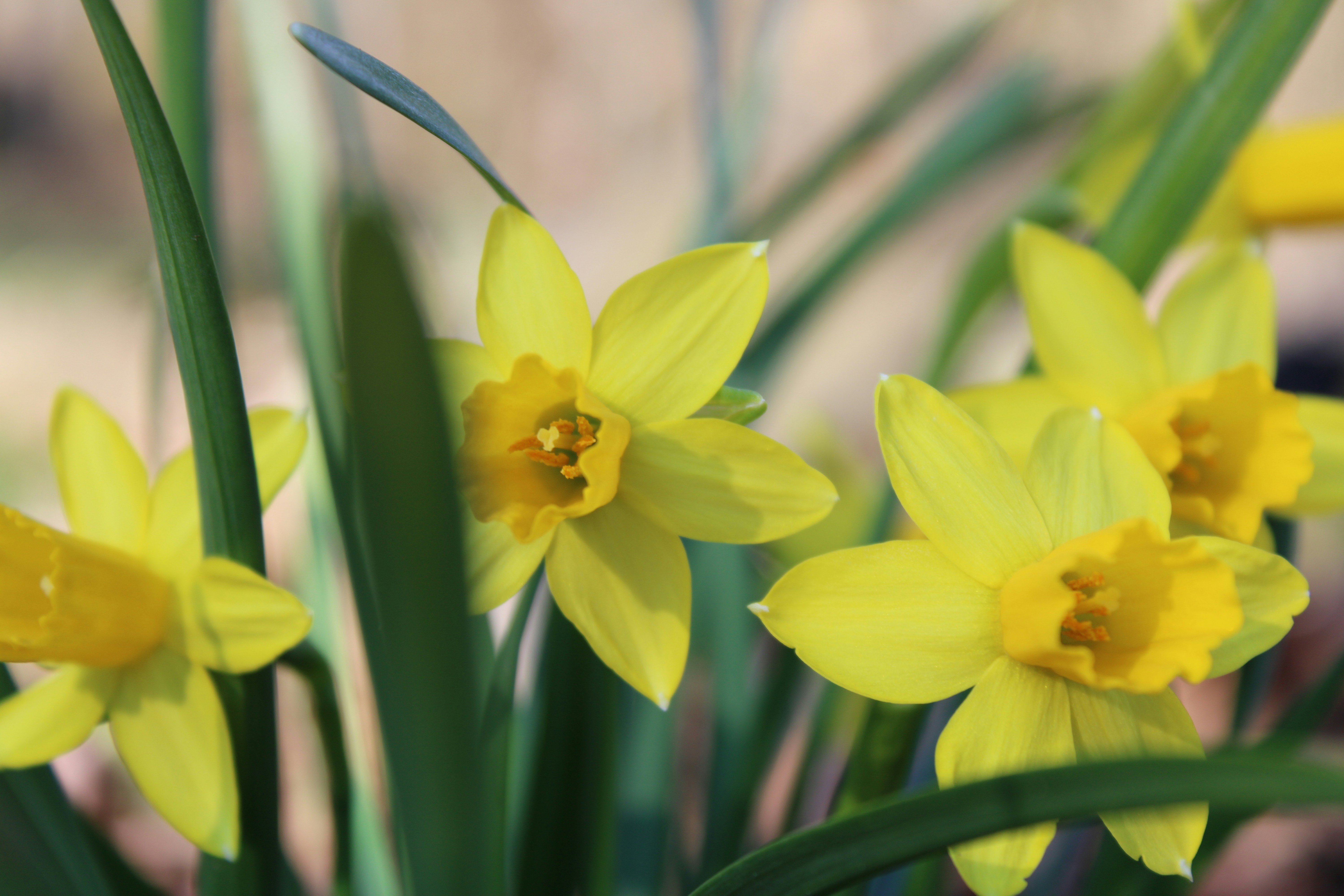 Photo by veronicapotter