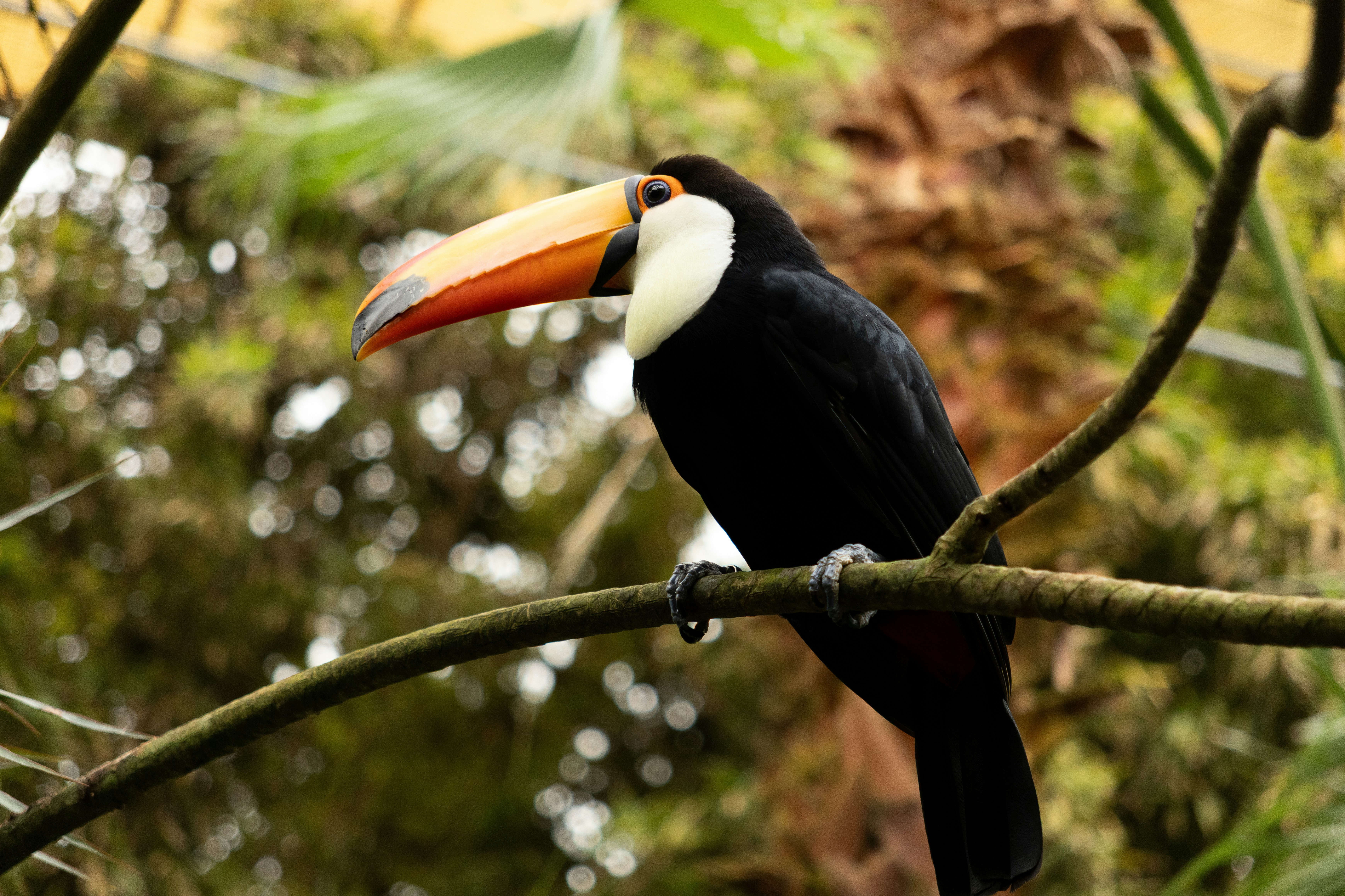 Photo by elkeburhenne