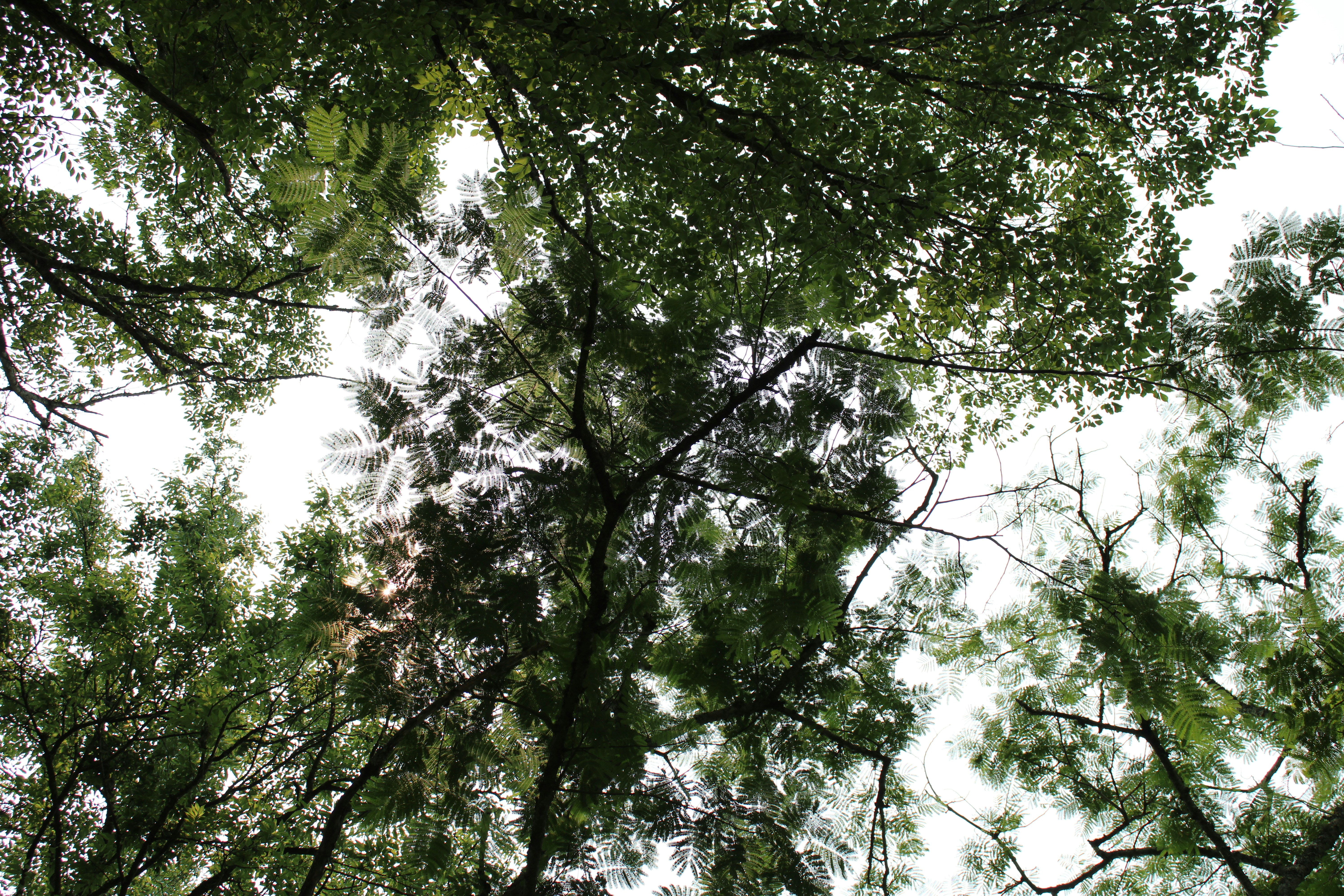 Photo by veronicapotter