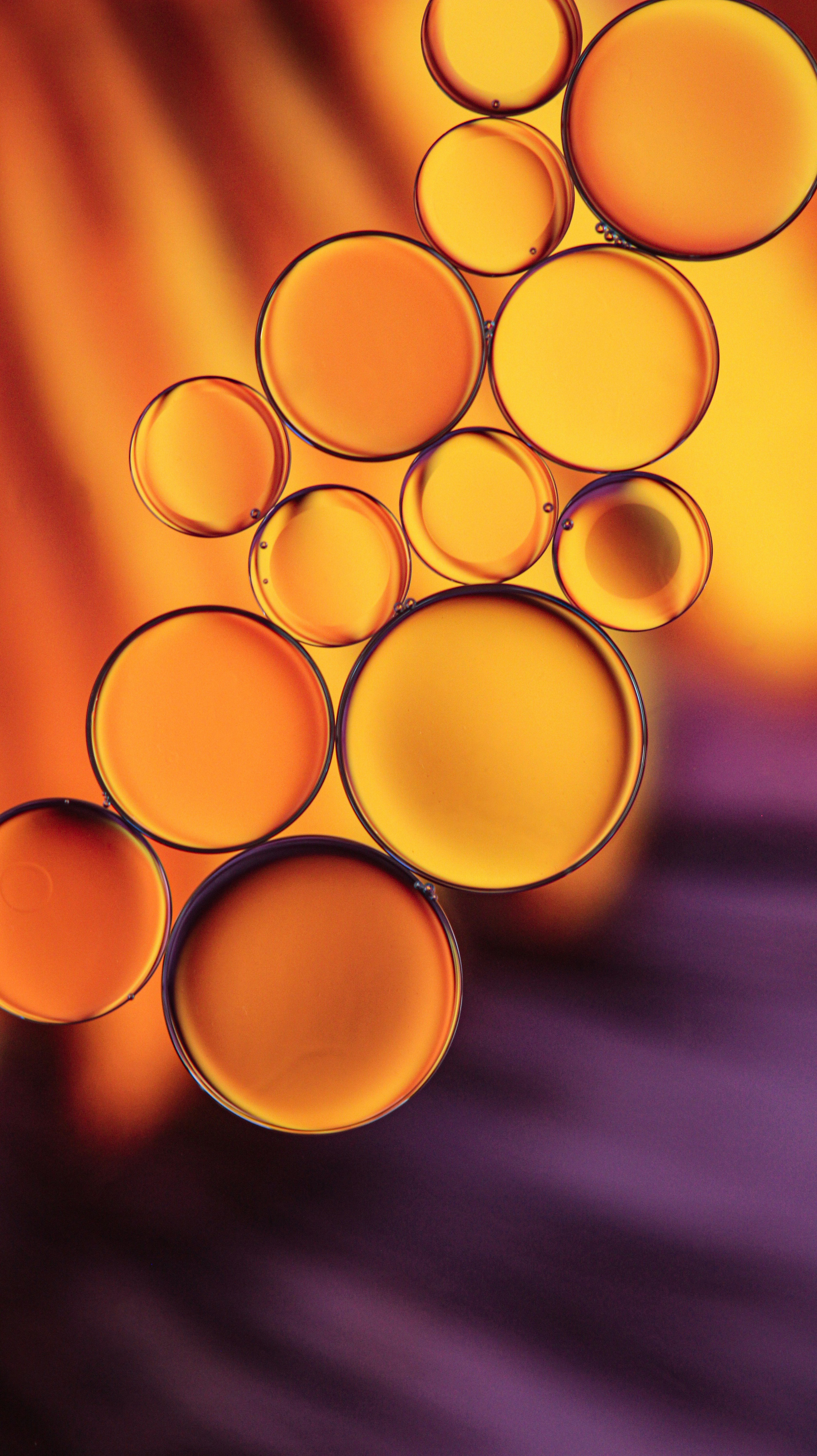 Photo by susan_wilkinson