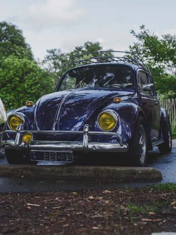 estética Veículos antigos 