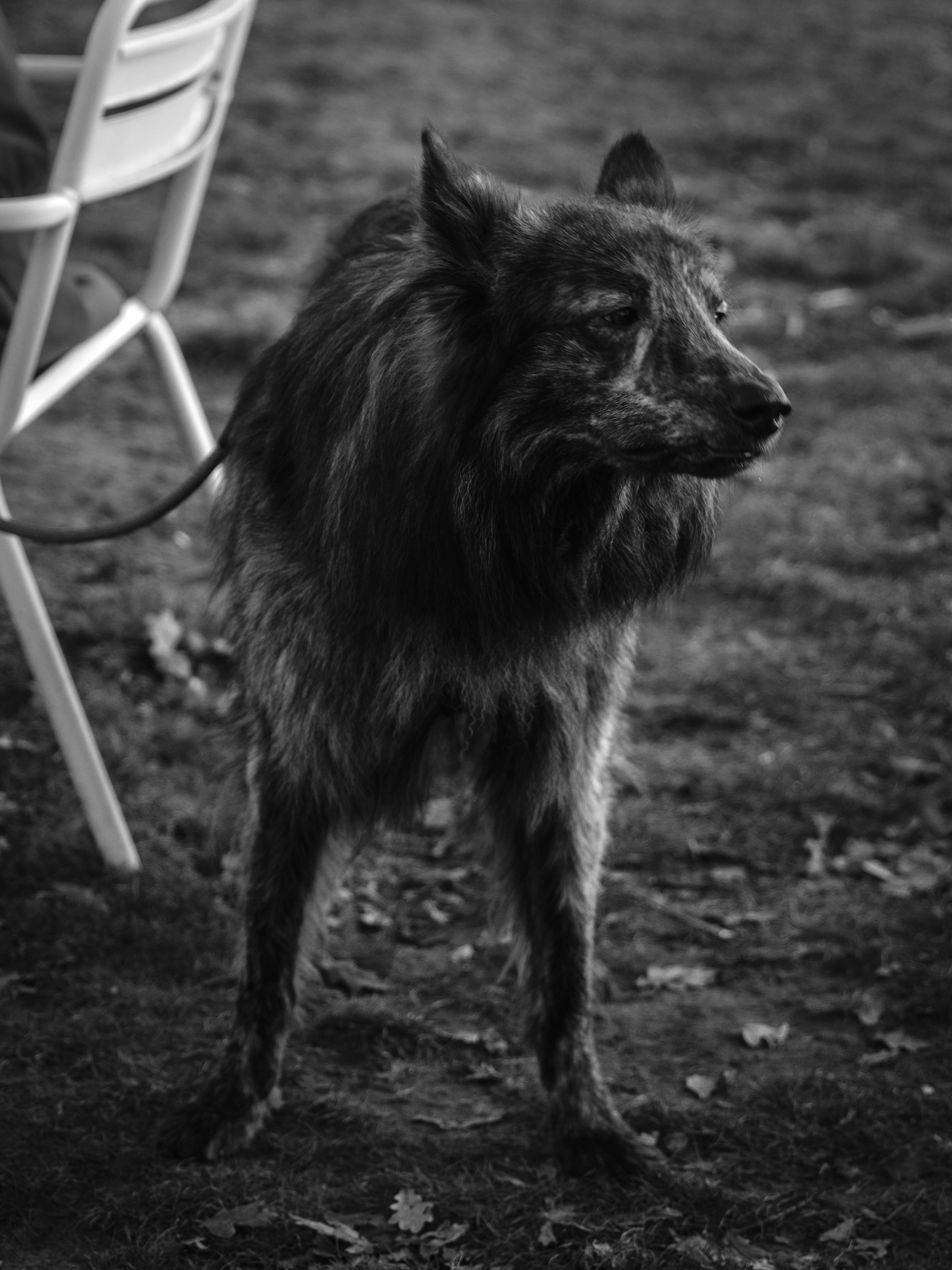 Photo by haberdoedas