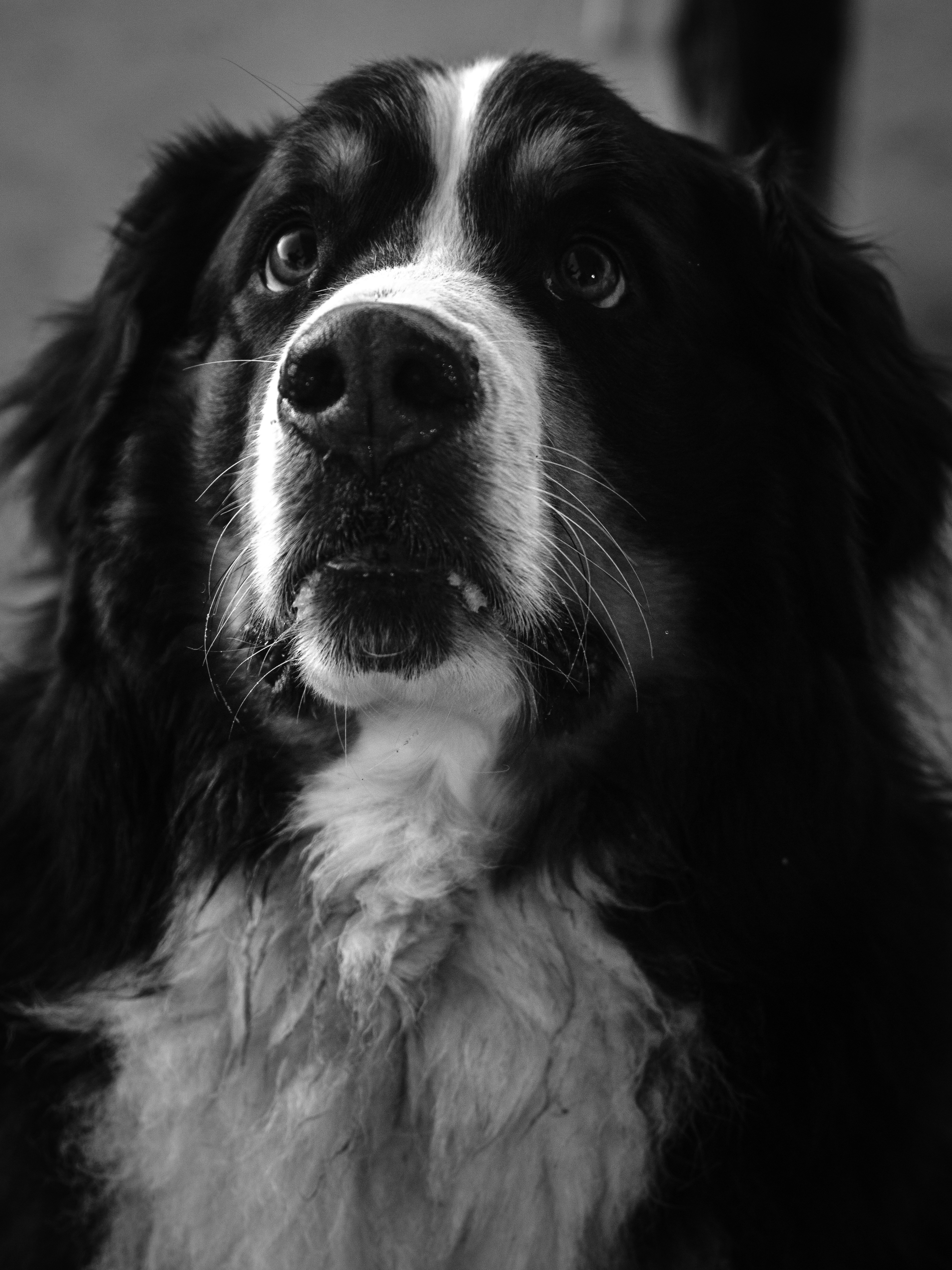 Photo by haberdoedas