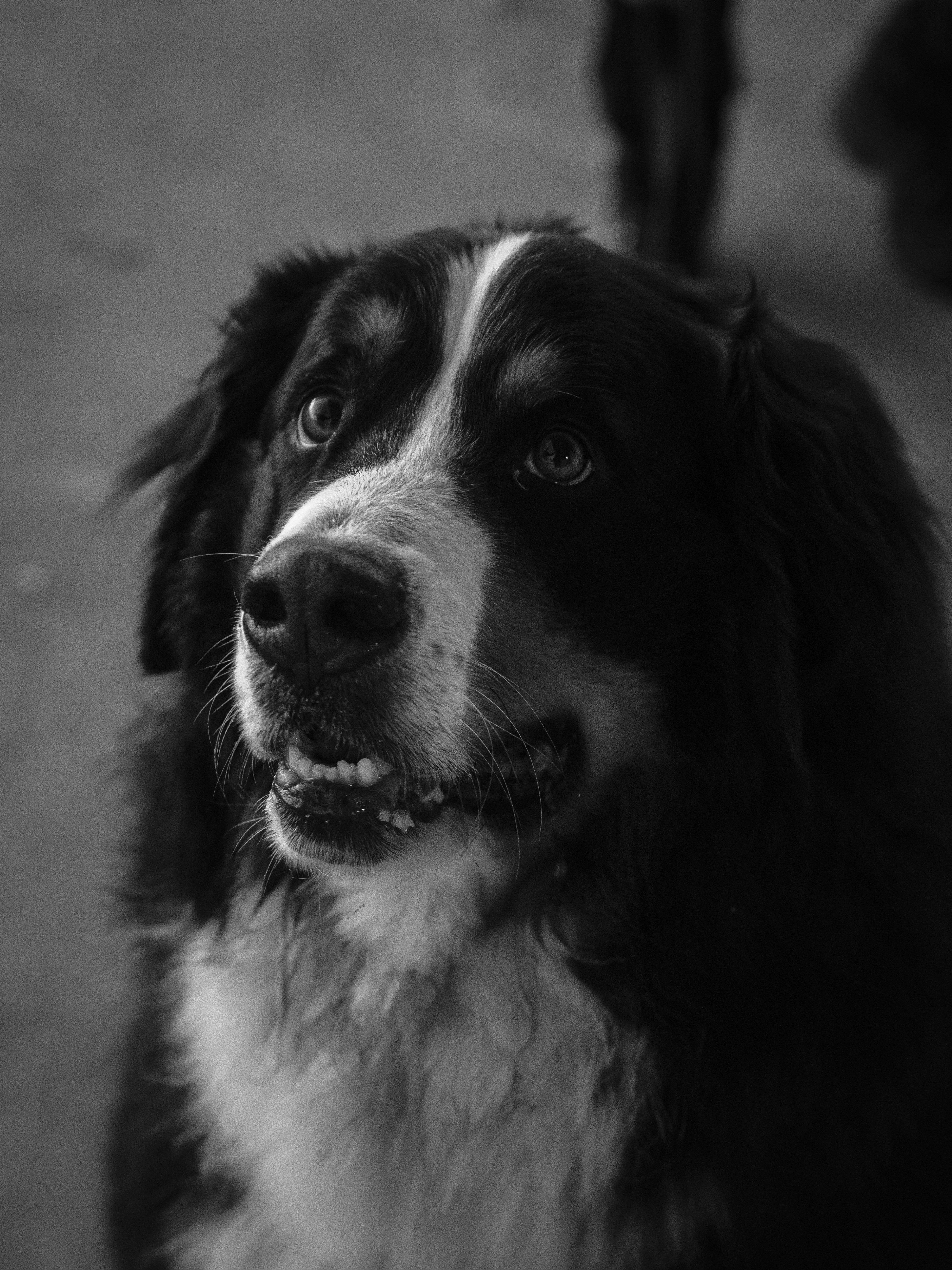 Photo by haberdoedas