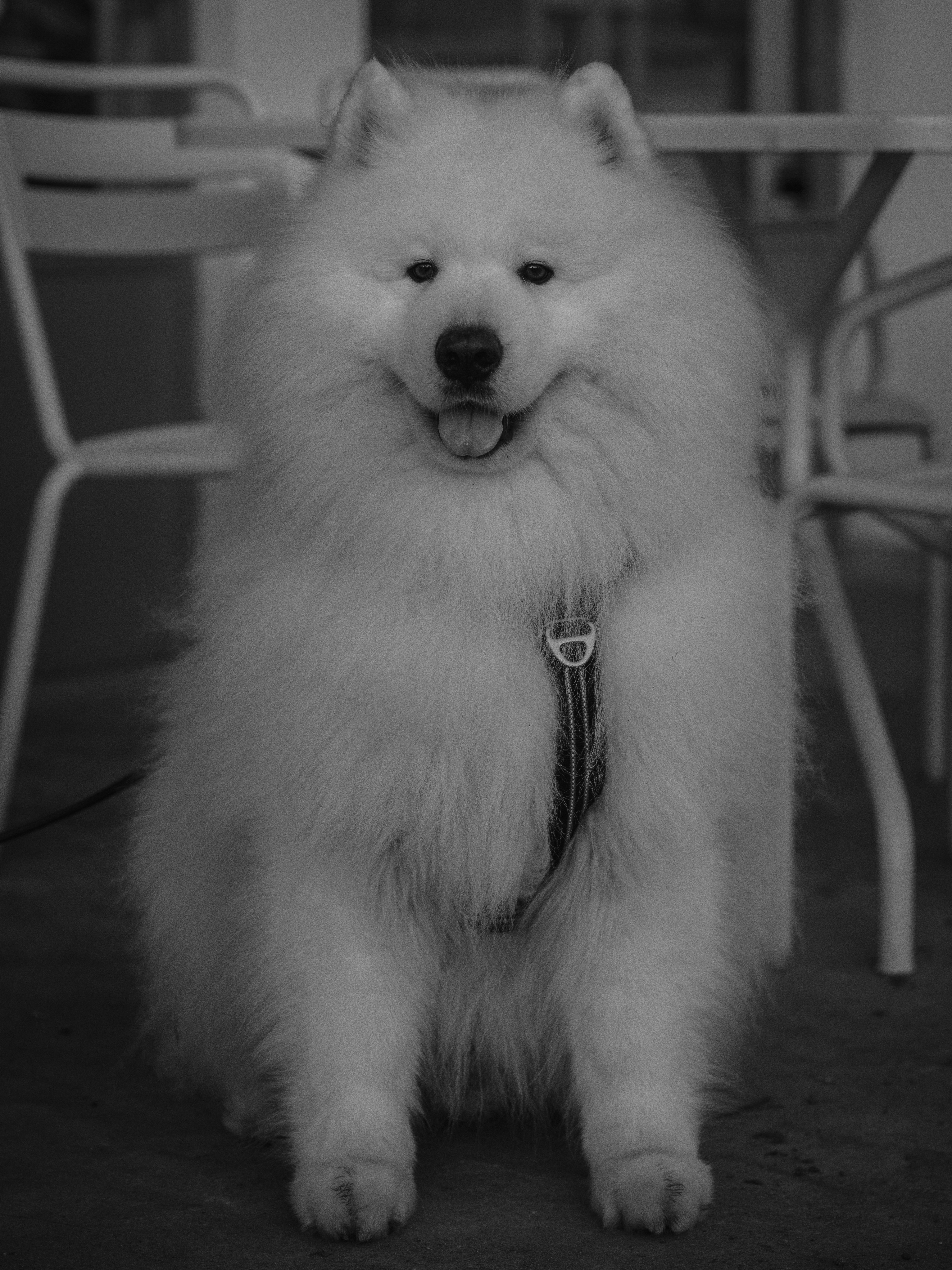 Photo by haberdoedas