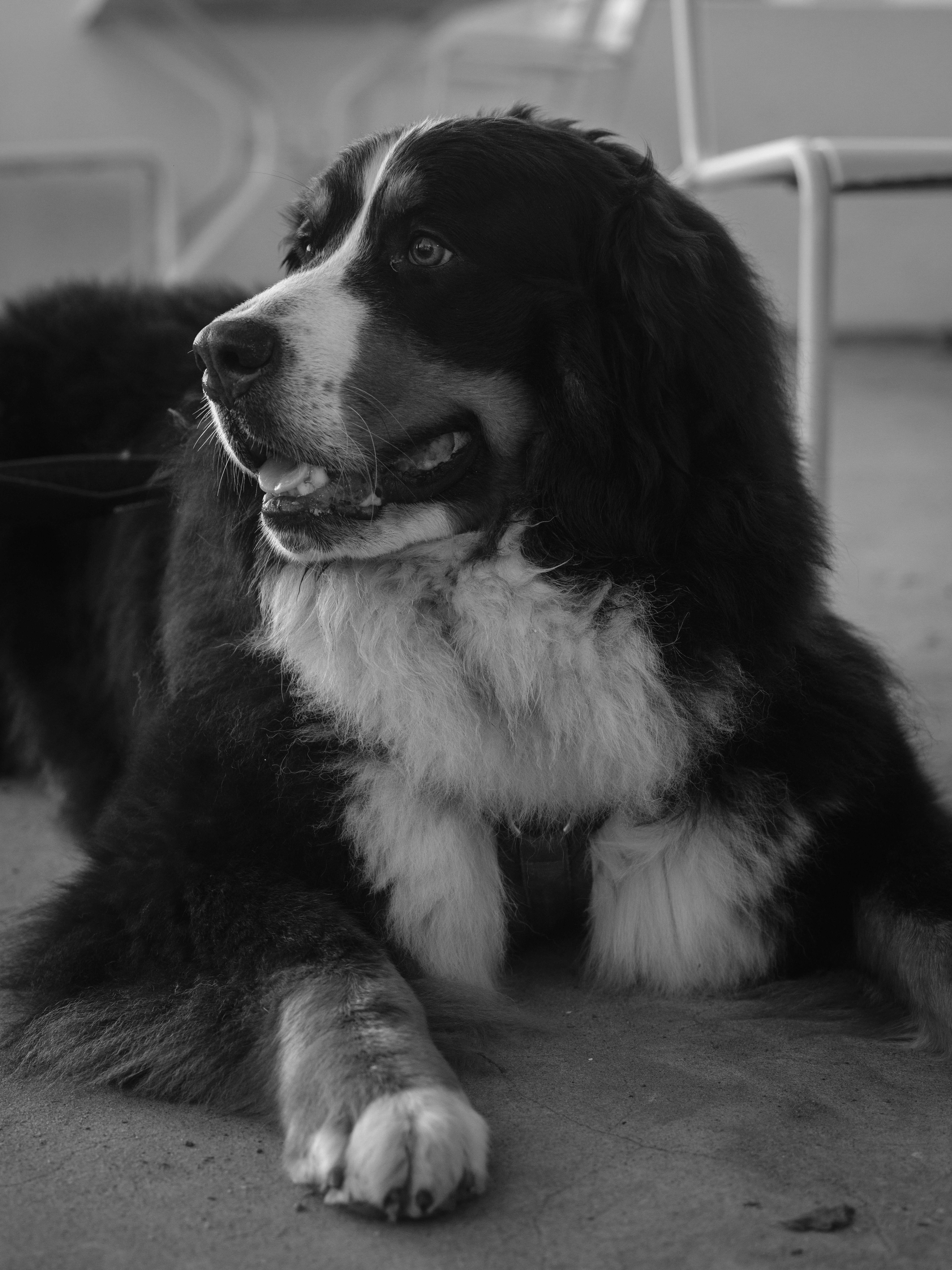 Photo by haberdoedas