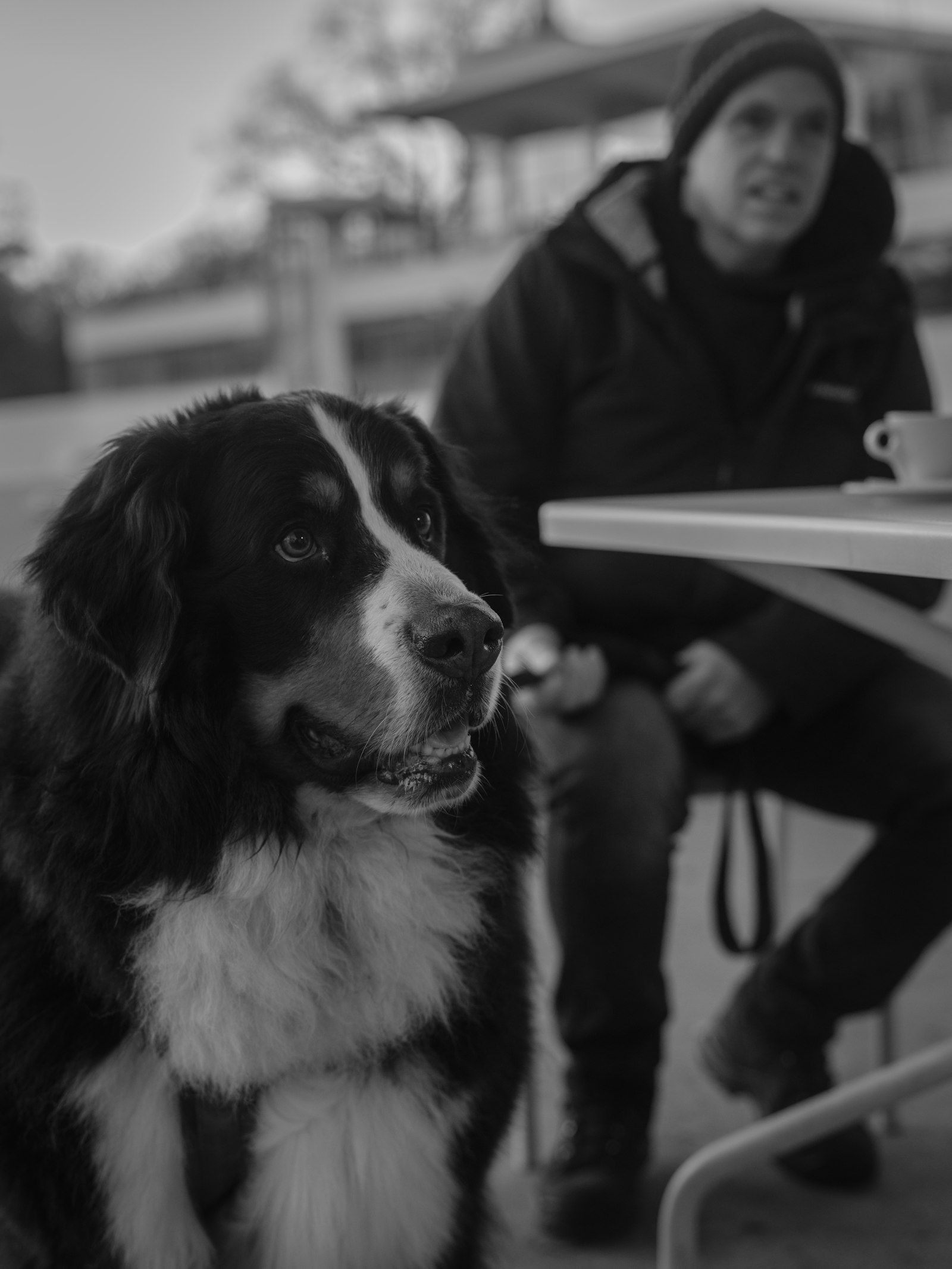 Liên Hệ