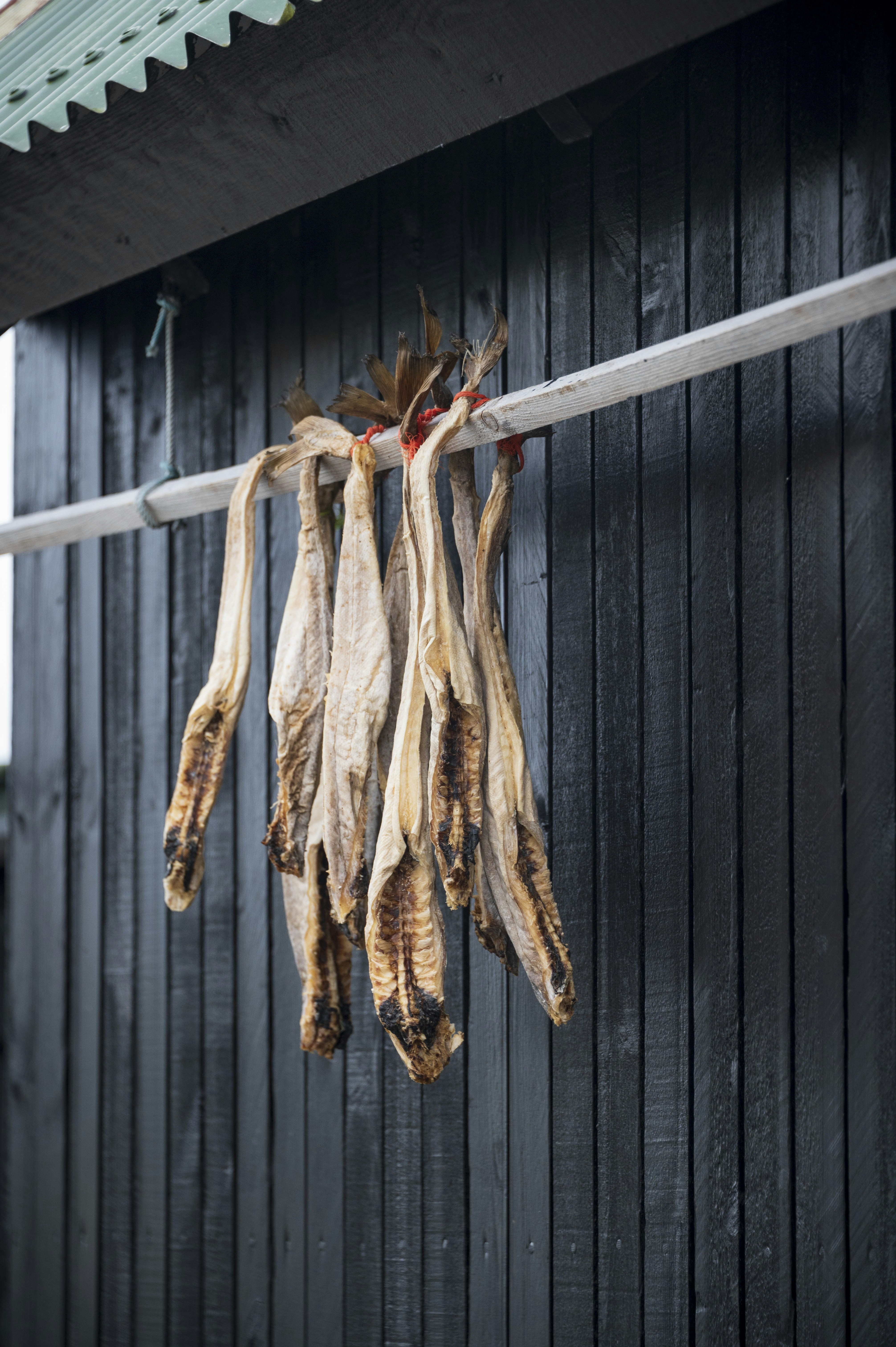 Seasonal Eating and Nature's Influence on Icelandic Tables