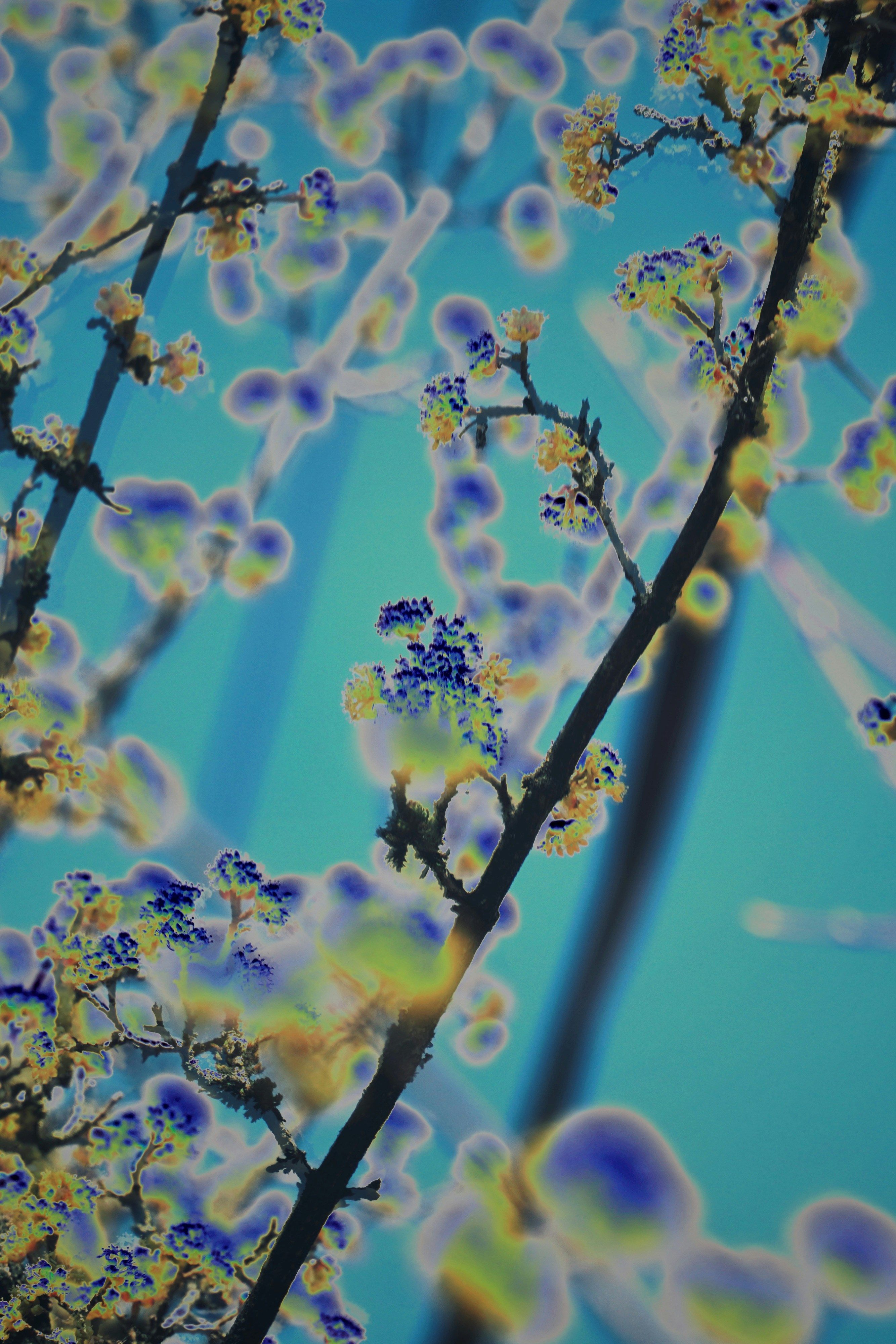 Photo by loveleencherub