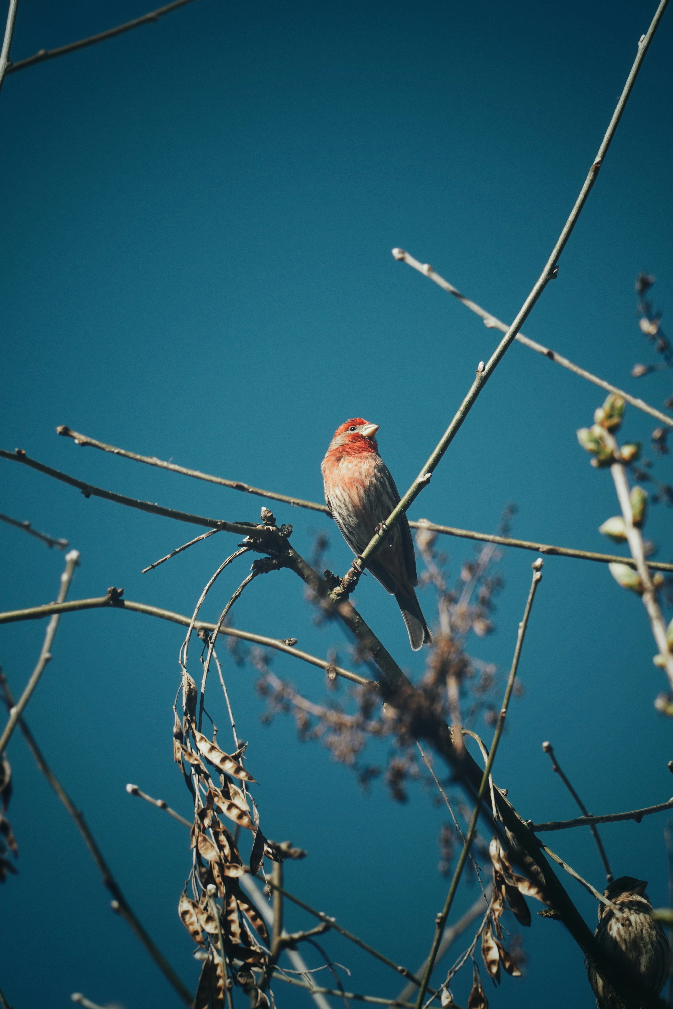 Photo by loveleencherub