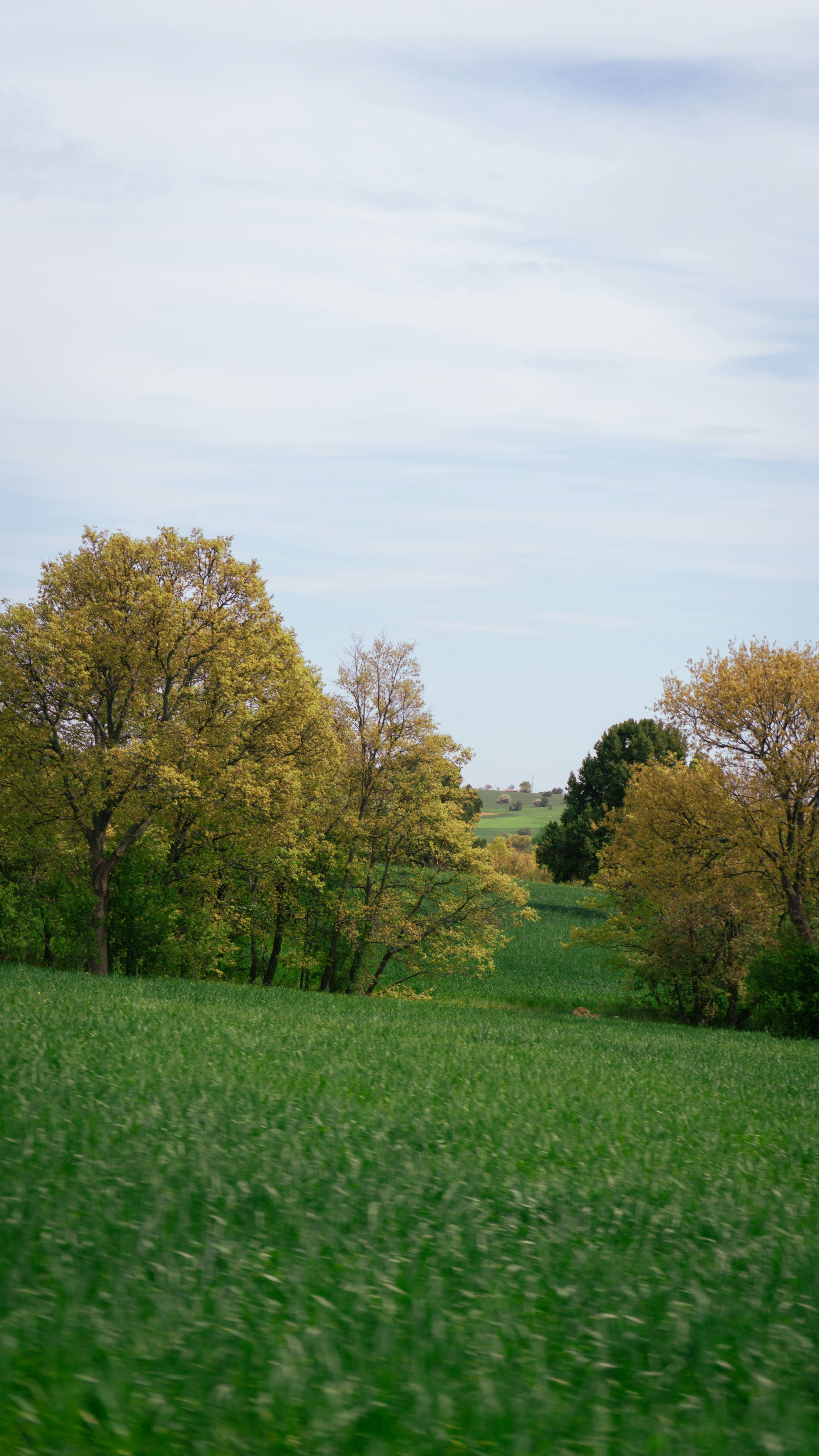 Photo by erdem_aydin