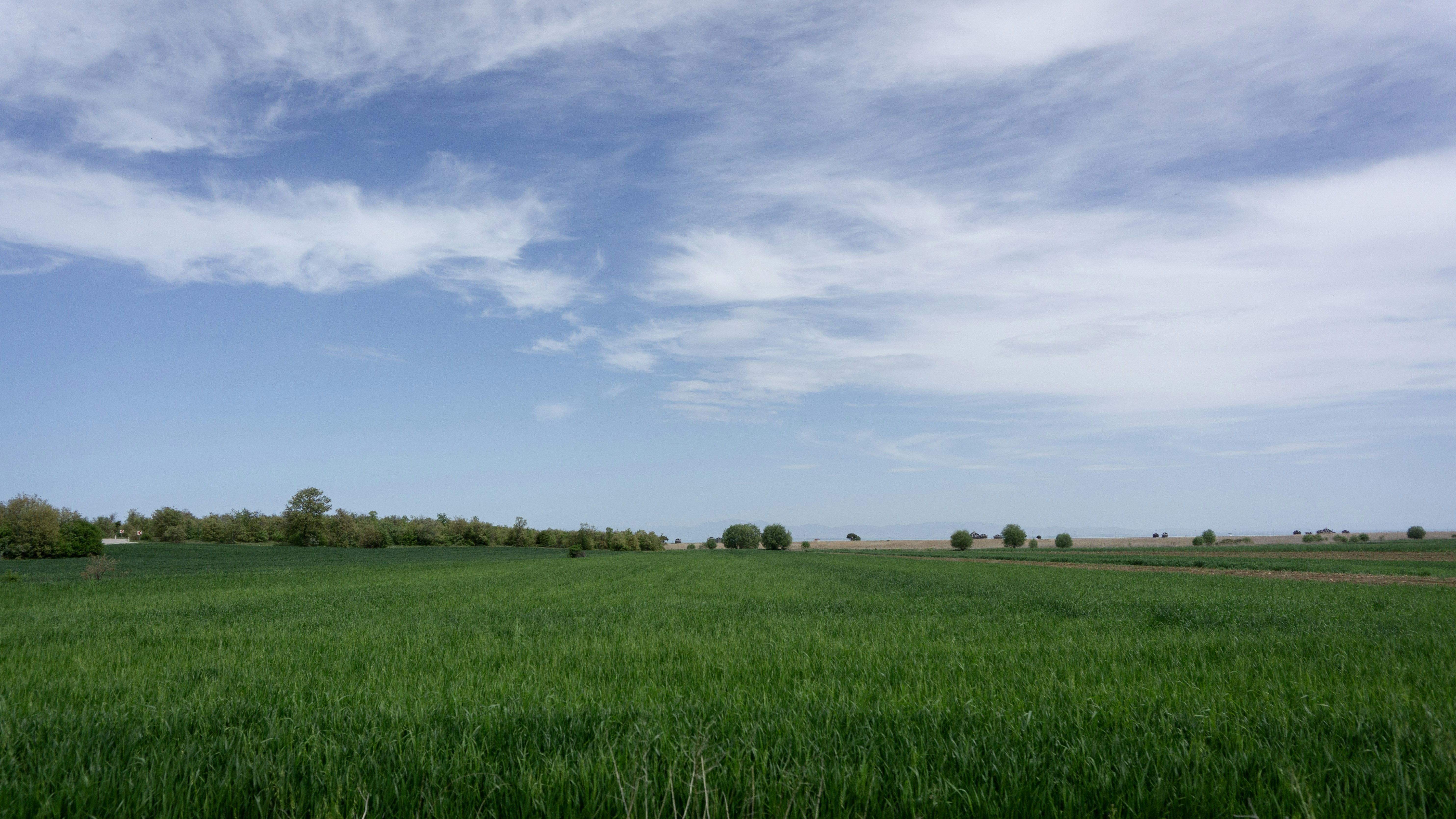 Photo by erdem_aydin