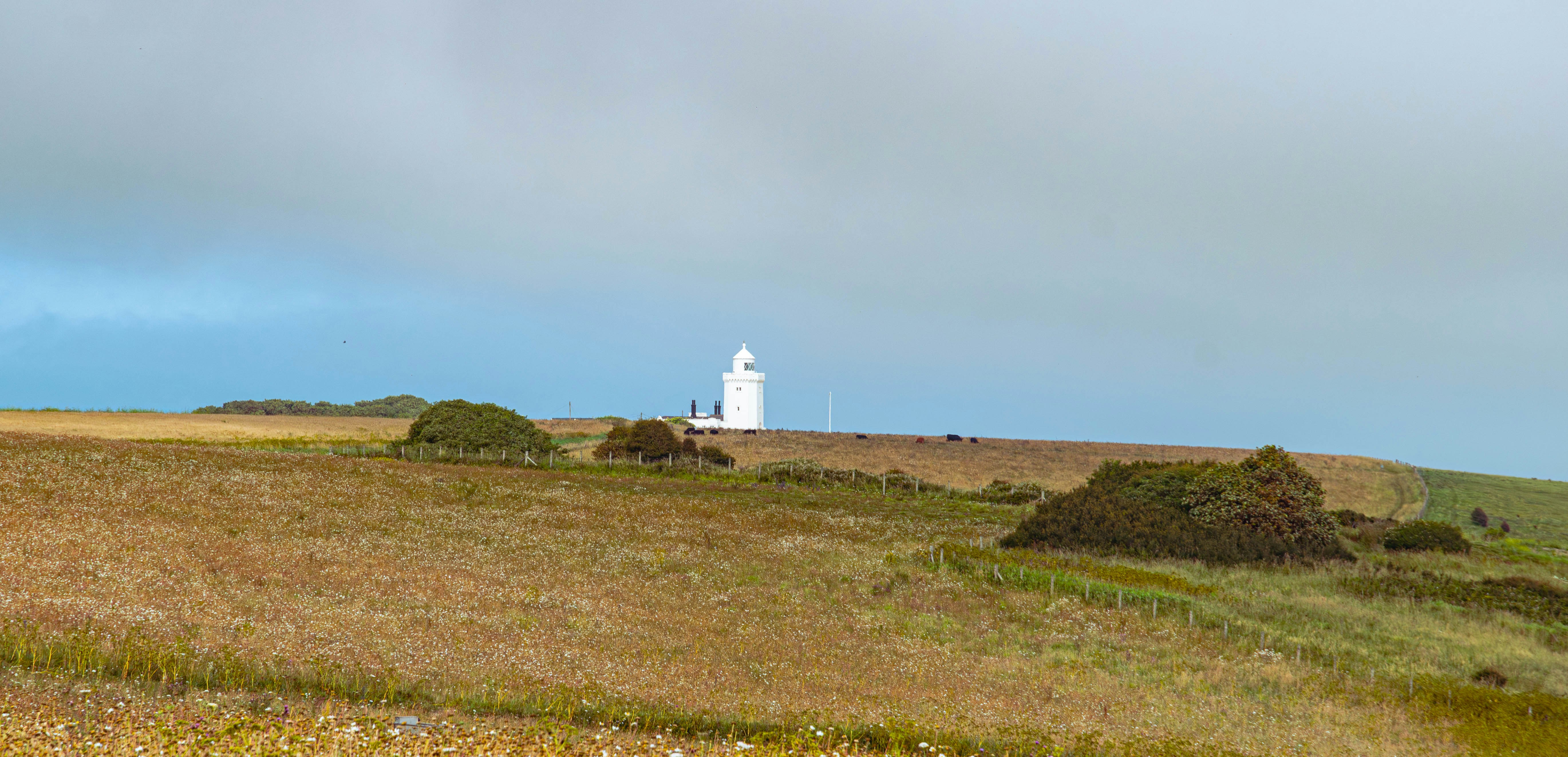 Photo by david_garrick_bangbola