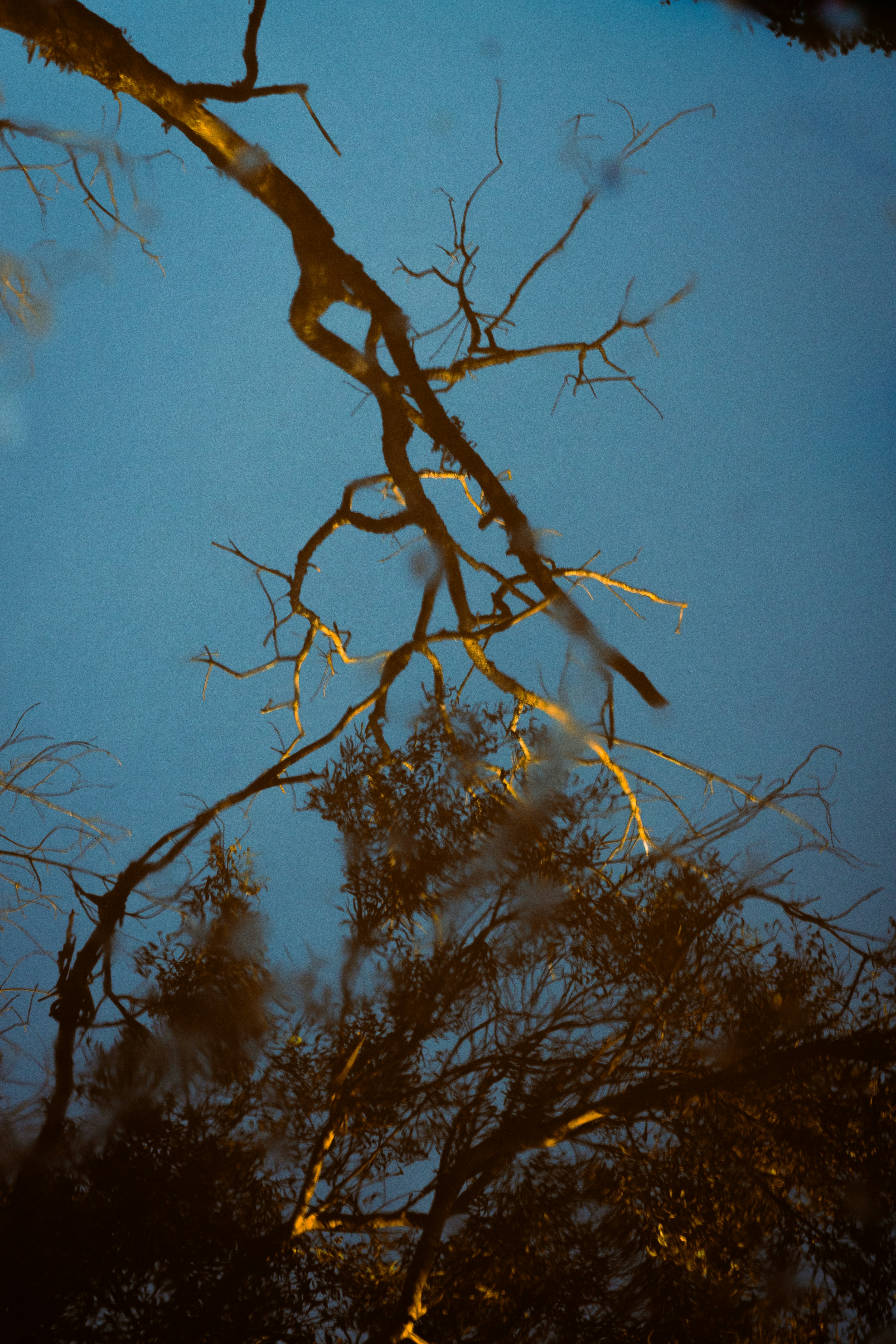 Photo by davidkimmelossa