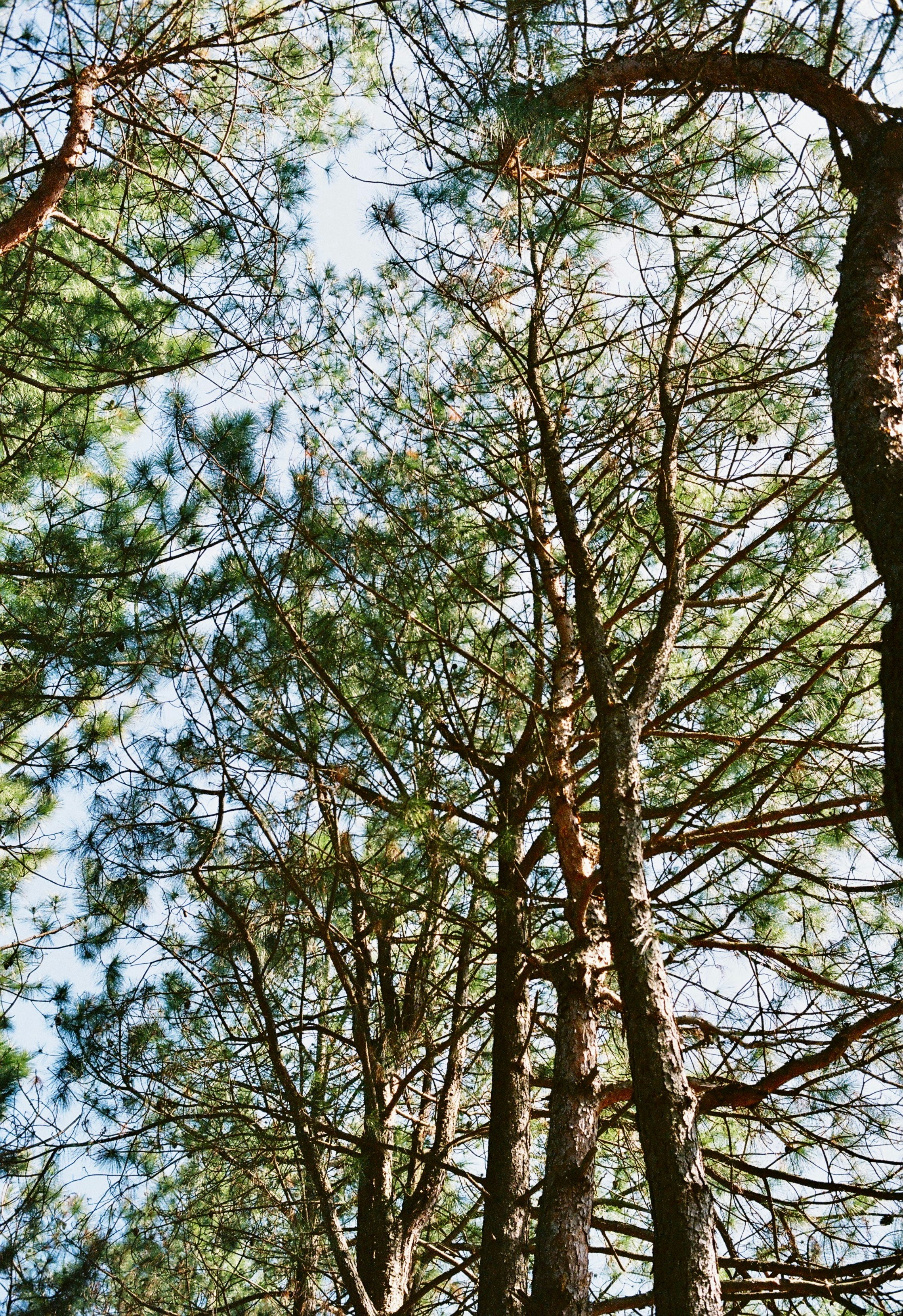 Photo by lwllwwlllwww